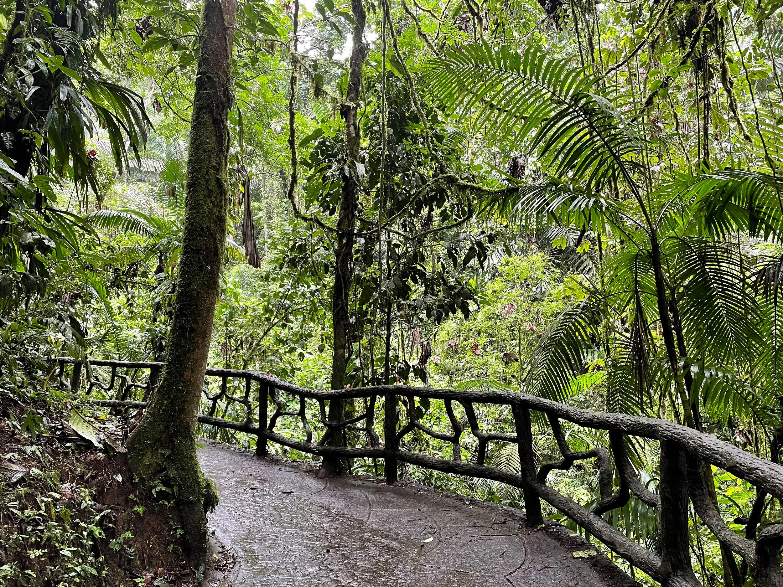 Mistico_Arenal_Hanging_Bridges_07.jpg