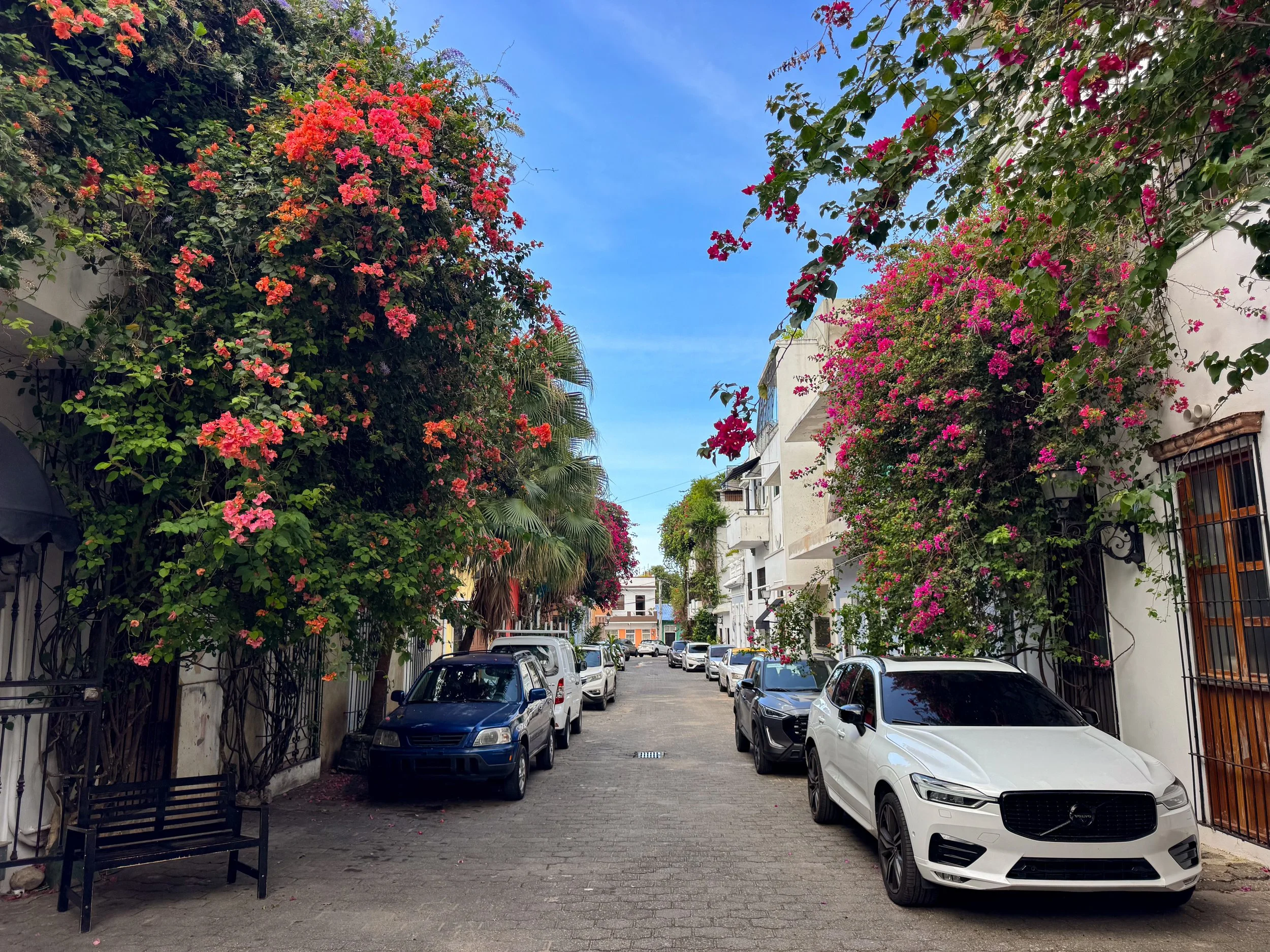 Callejón_de_Regina_01.jpg