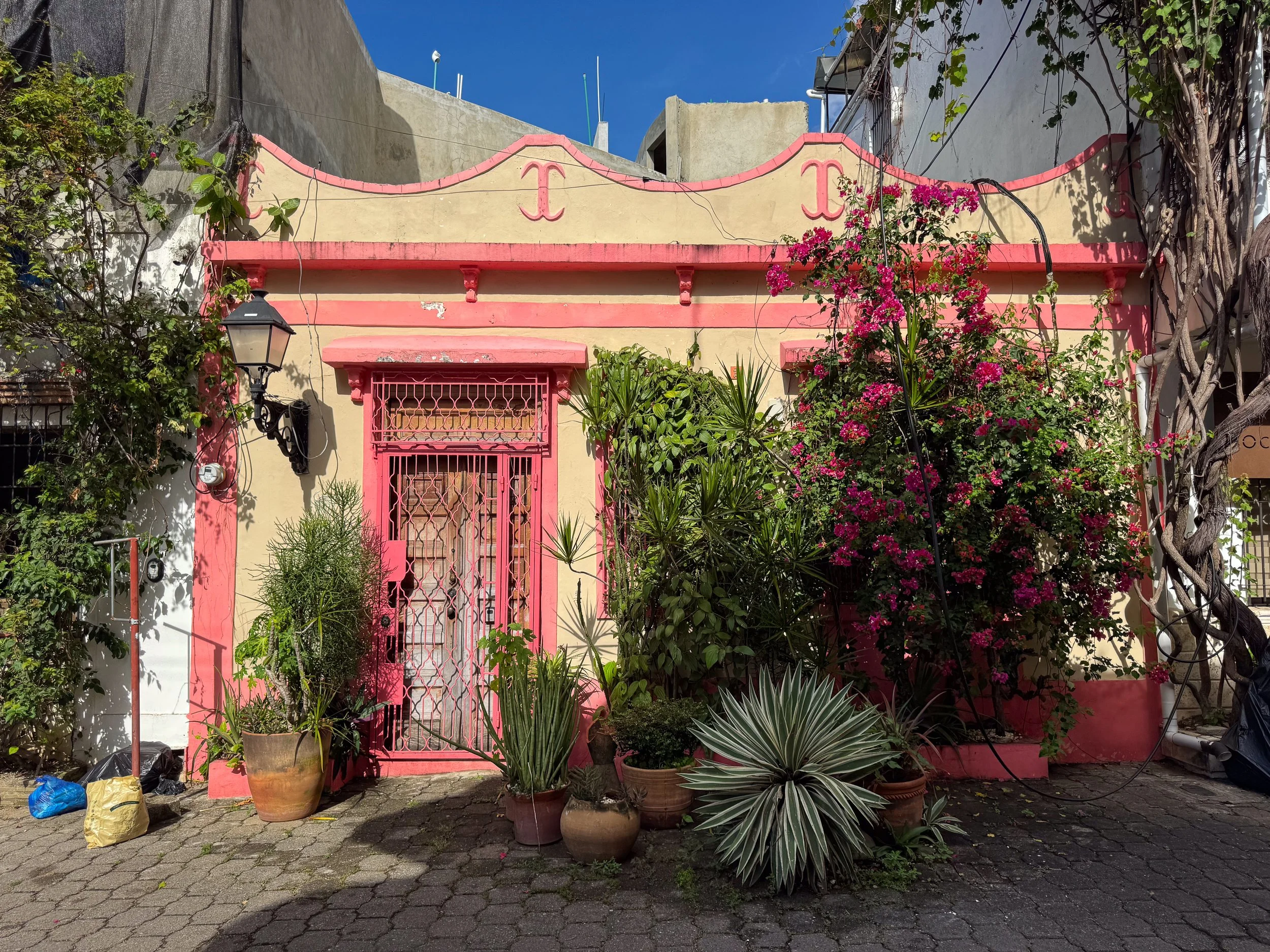 Callejón_de_Regina_02.jpg
