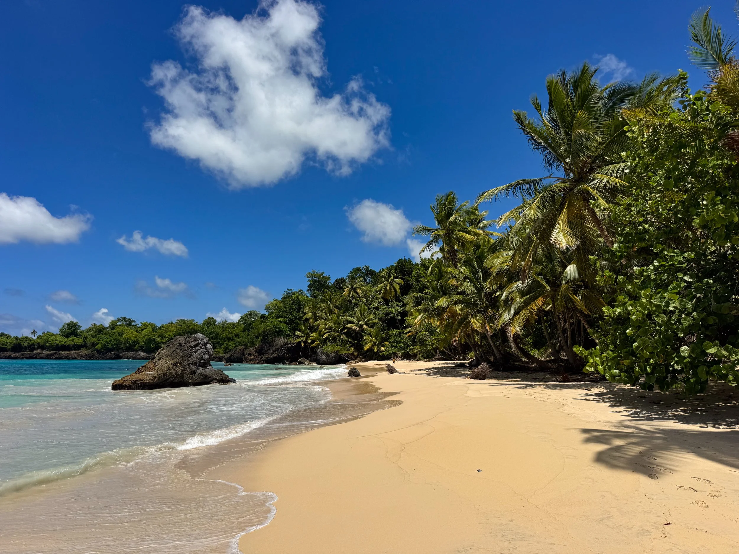 The Samaná Peninsula