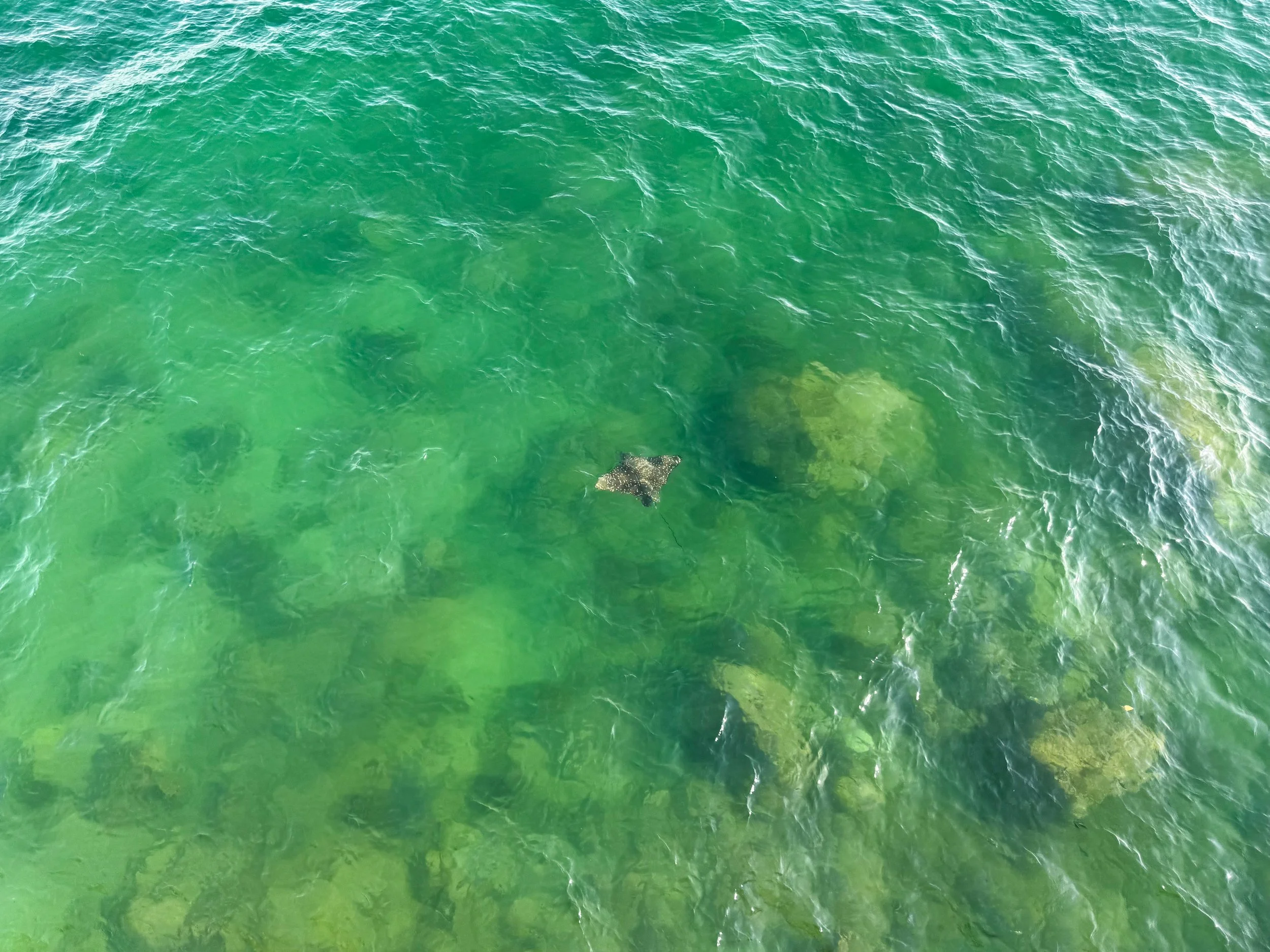 Samana_07.jpg