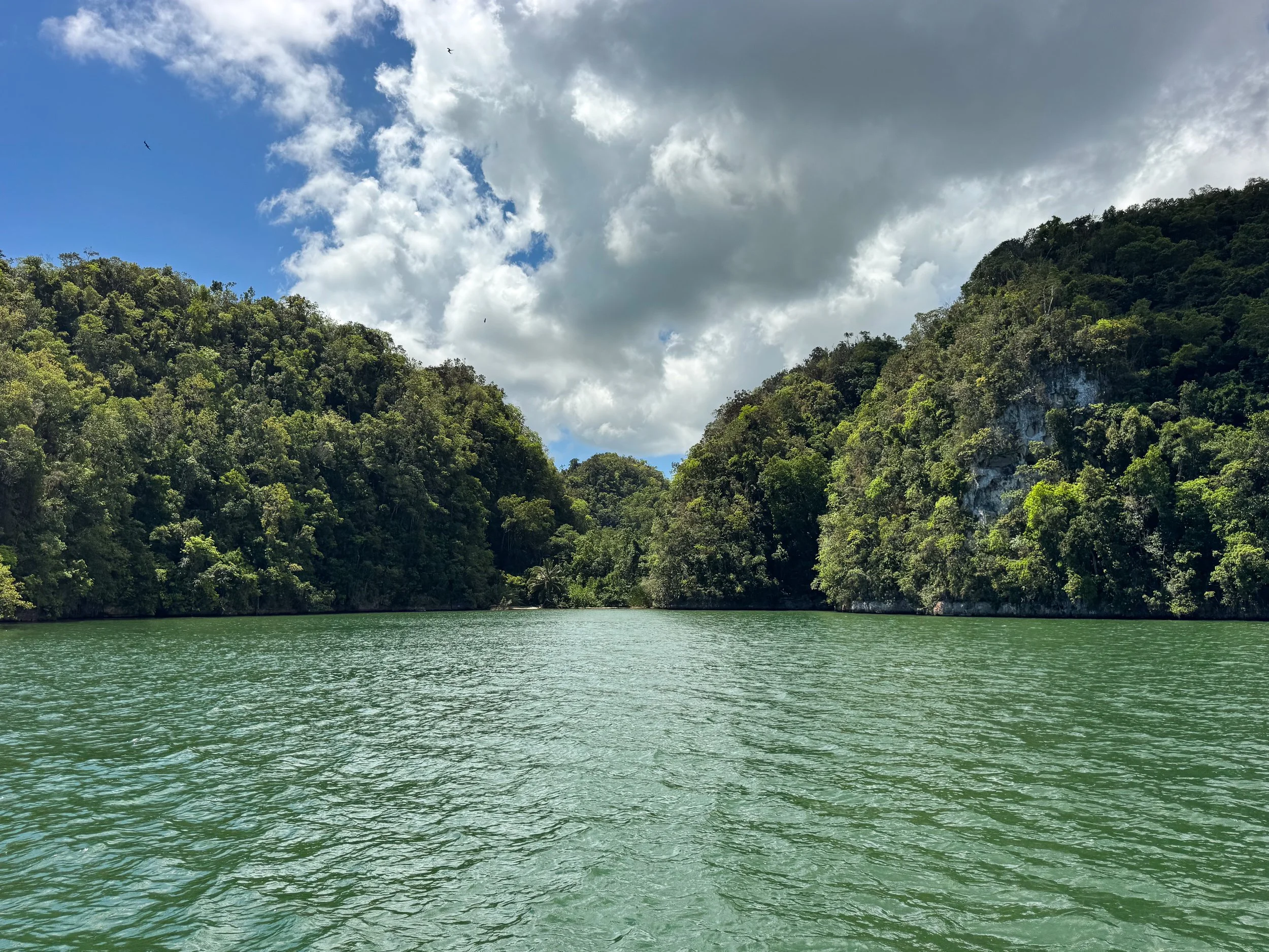 Los_Haitises_National_Park_02.jpg