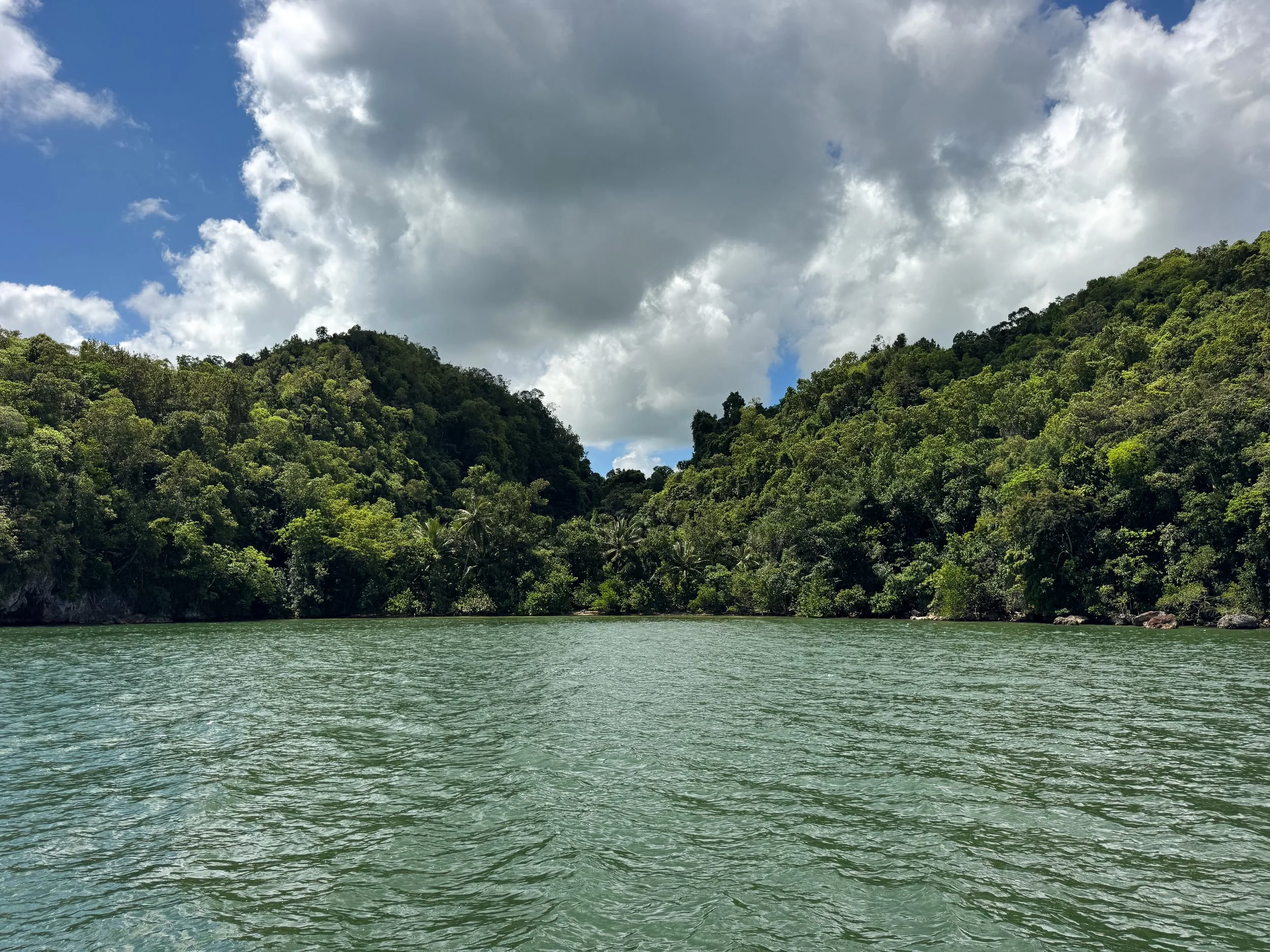 Los_Haitises_National_Park_01.jpg