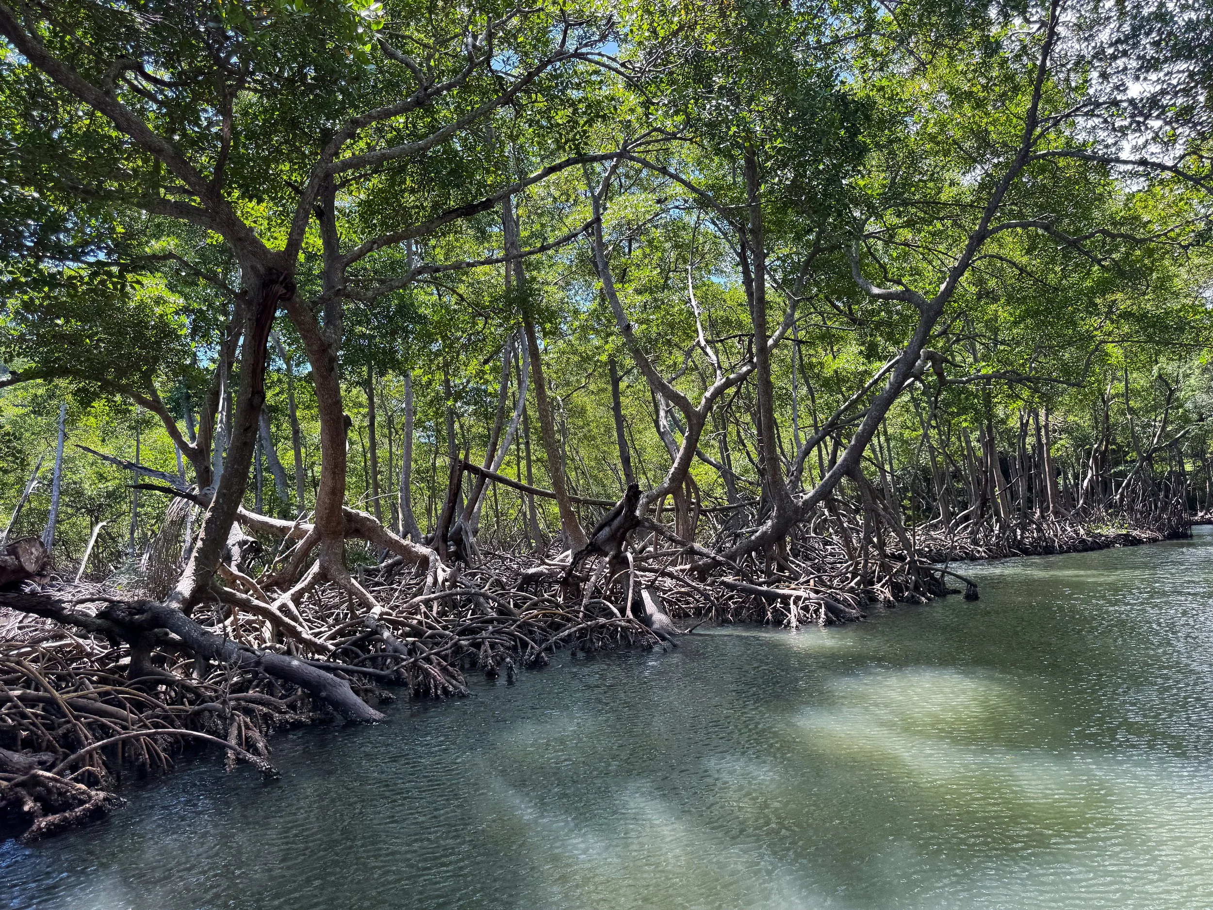 Los_Haitises_National_Park_05.jpg