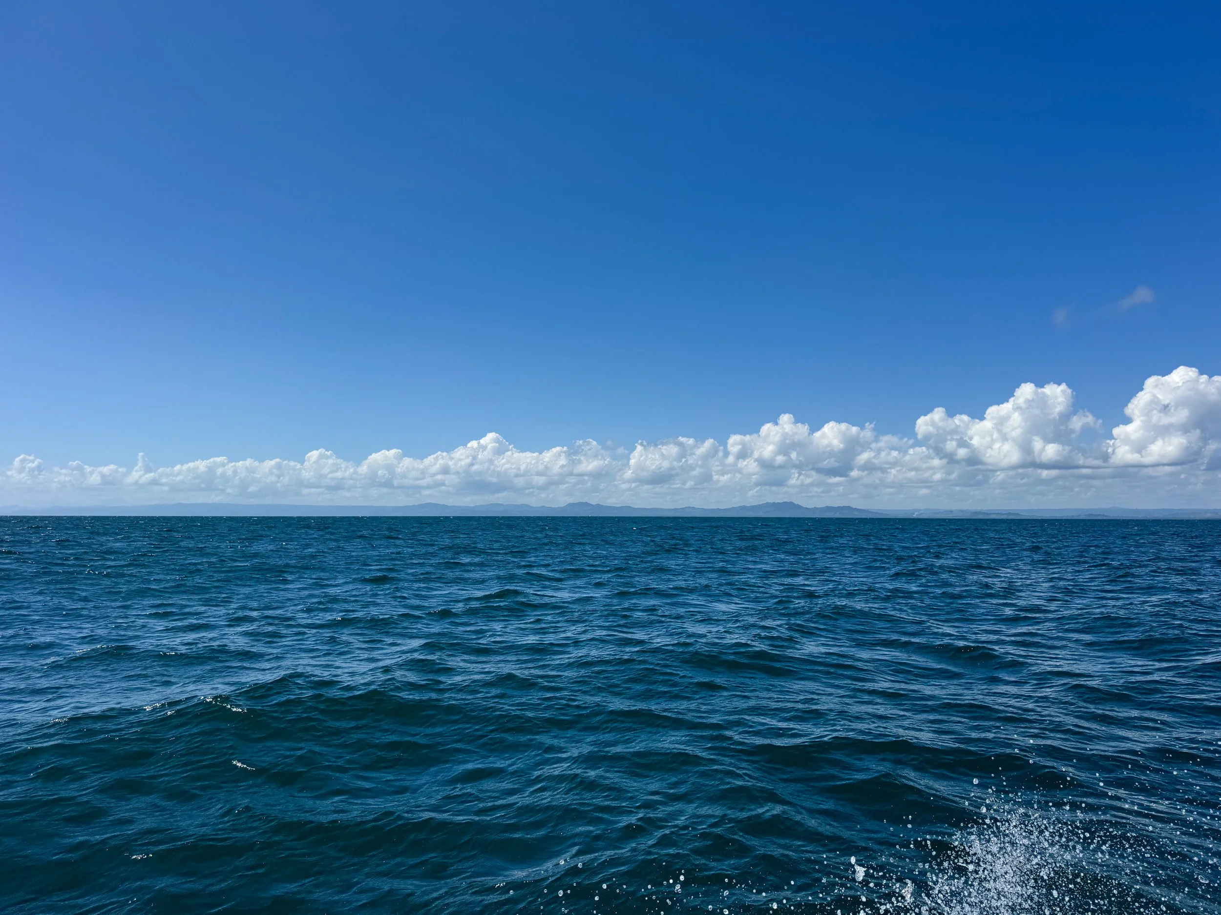 Los_Haitises_National_Park_07.jpg