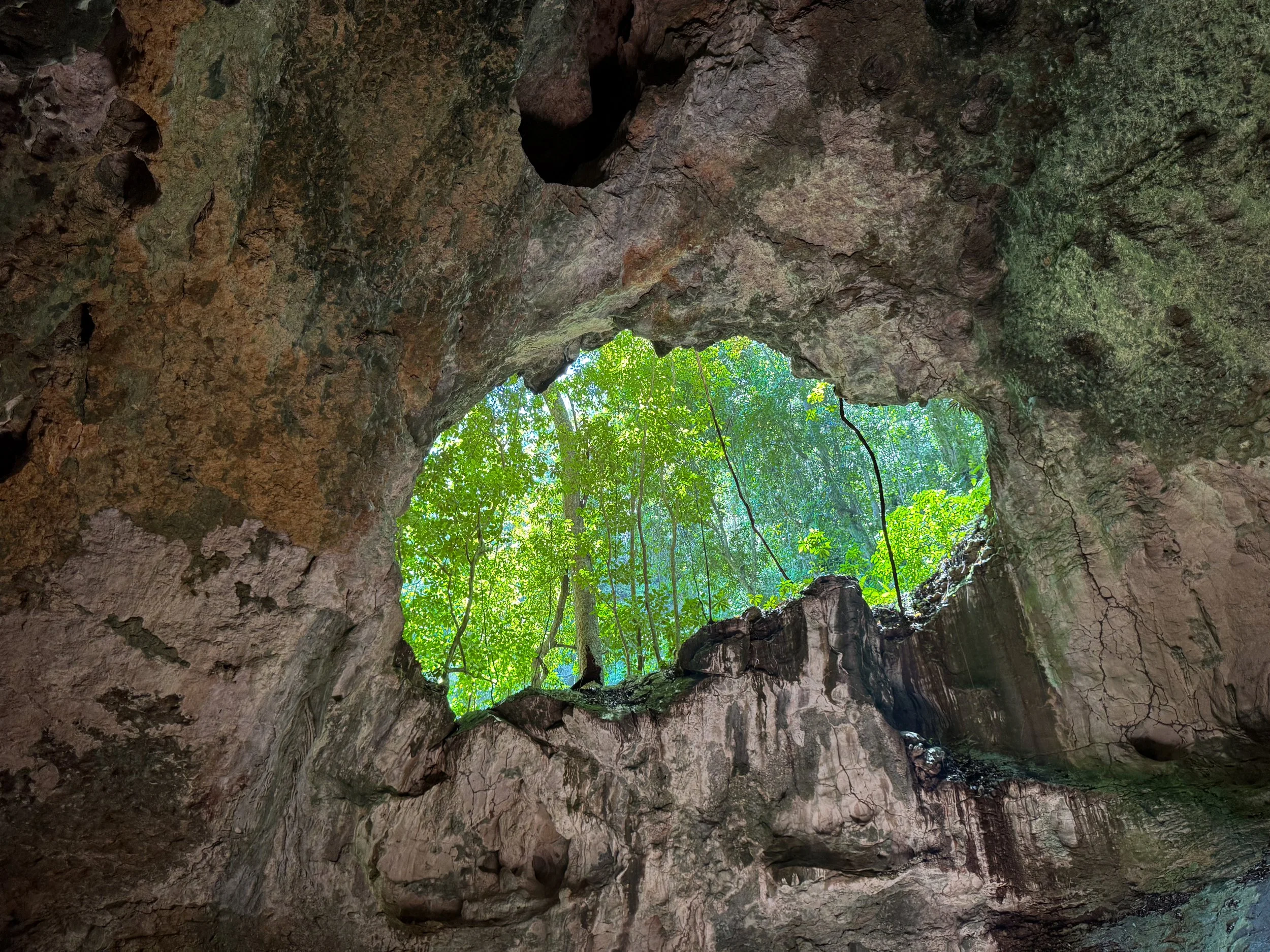 Cueva_de_La_Linea_01.jpg