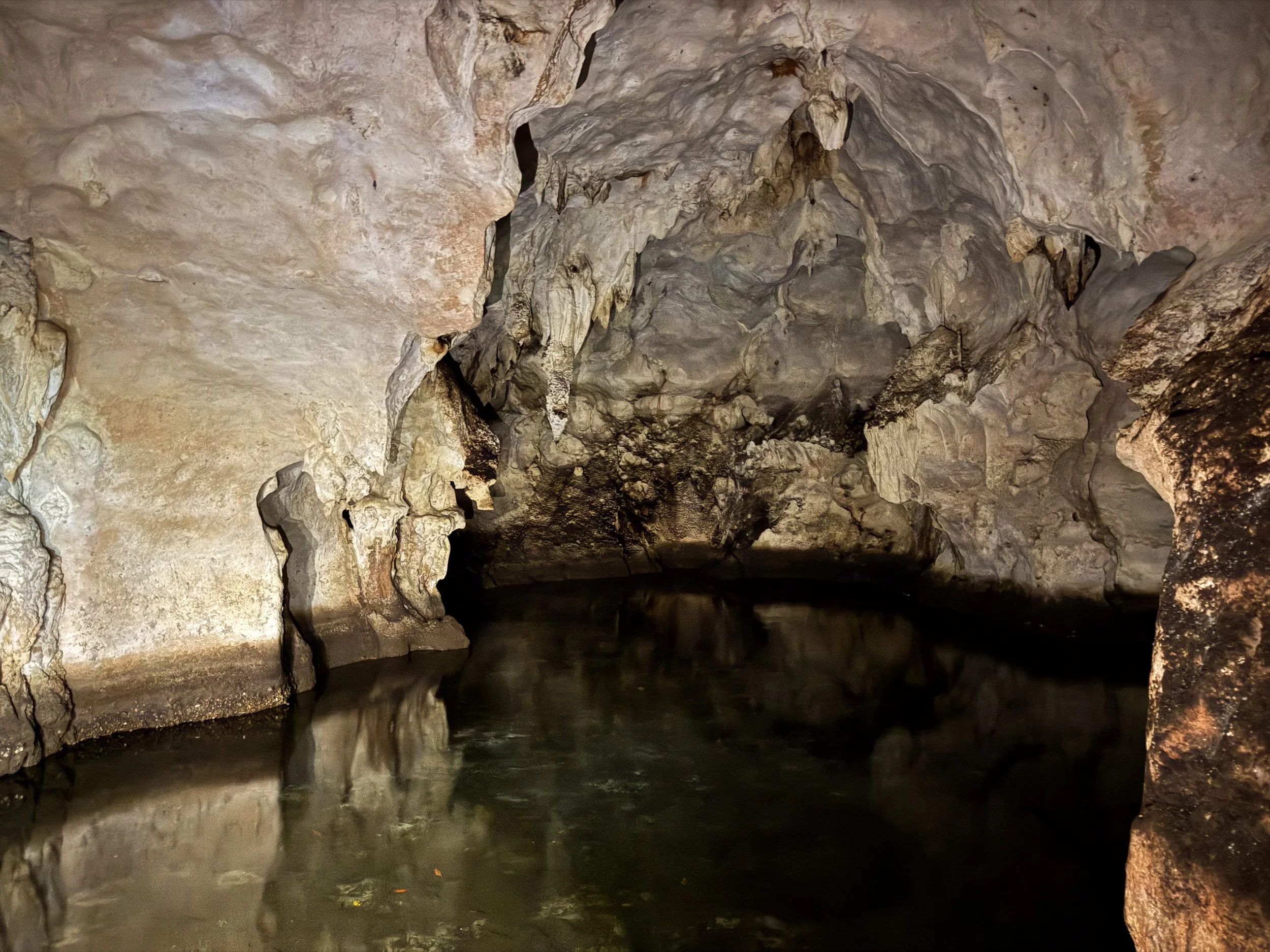 Cueva_de_La_Arena_02.jpg