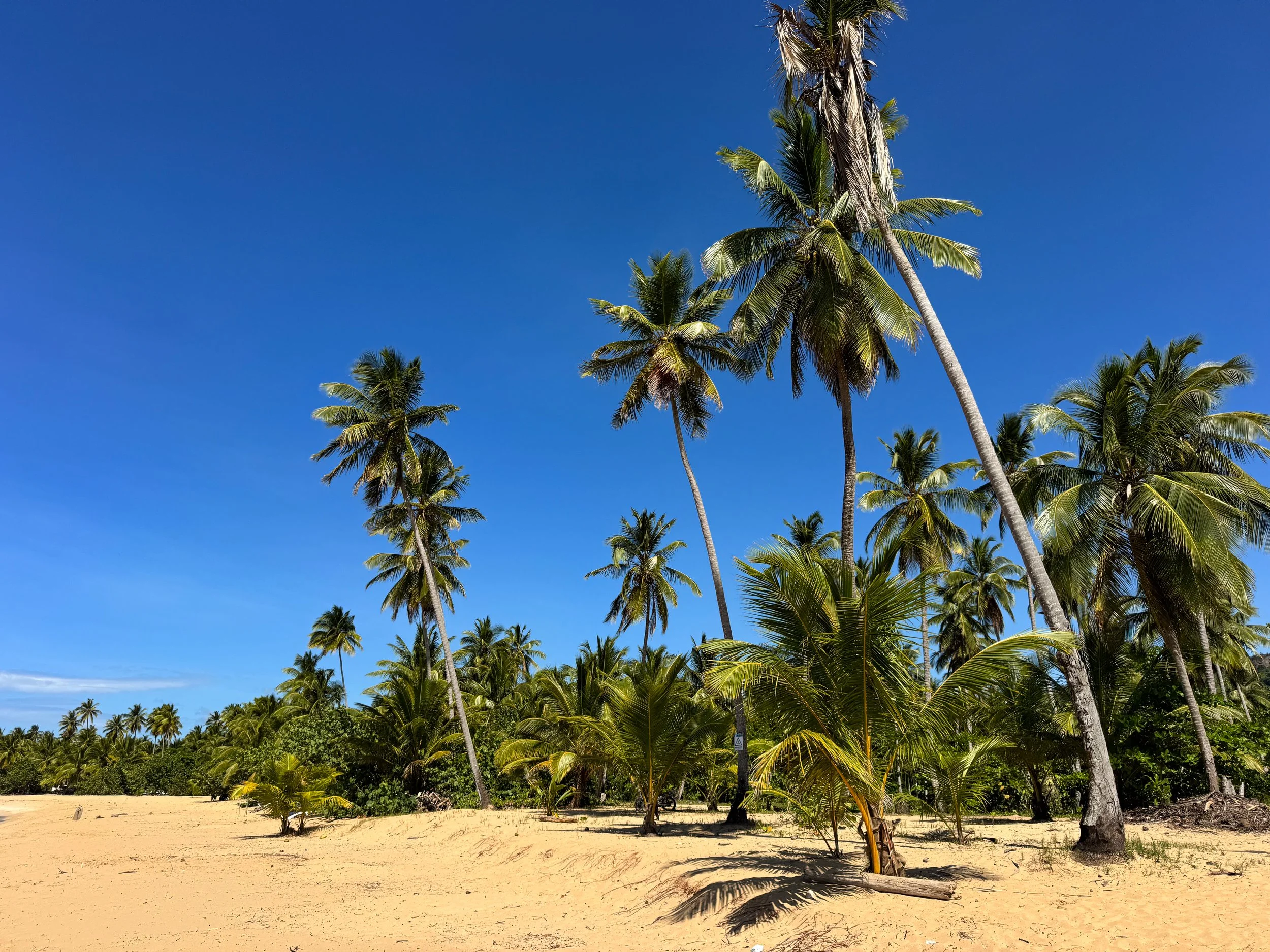Playa_Coson_07.jpg