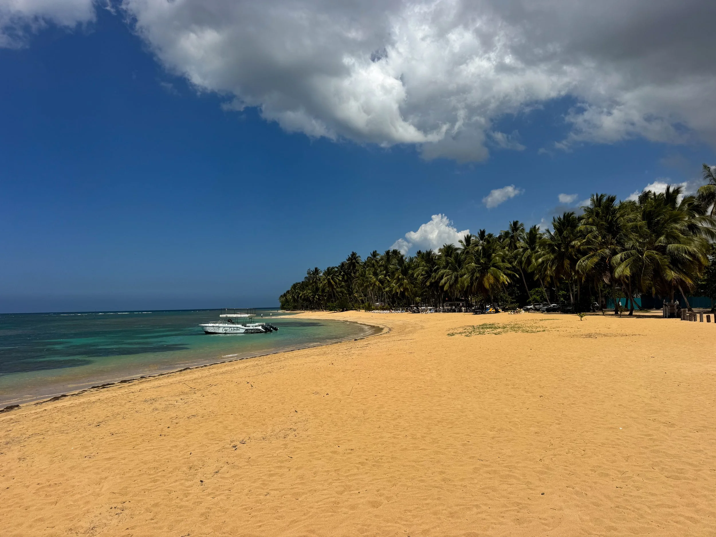 Playa_Las_Ballenas_07.jpg