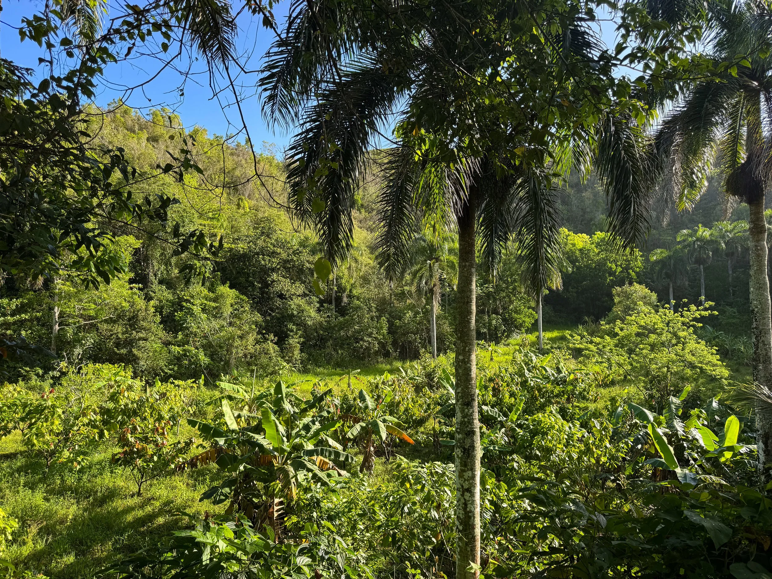 Salto_El_Limon_Hike_02.jpg
