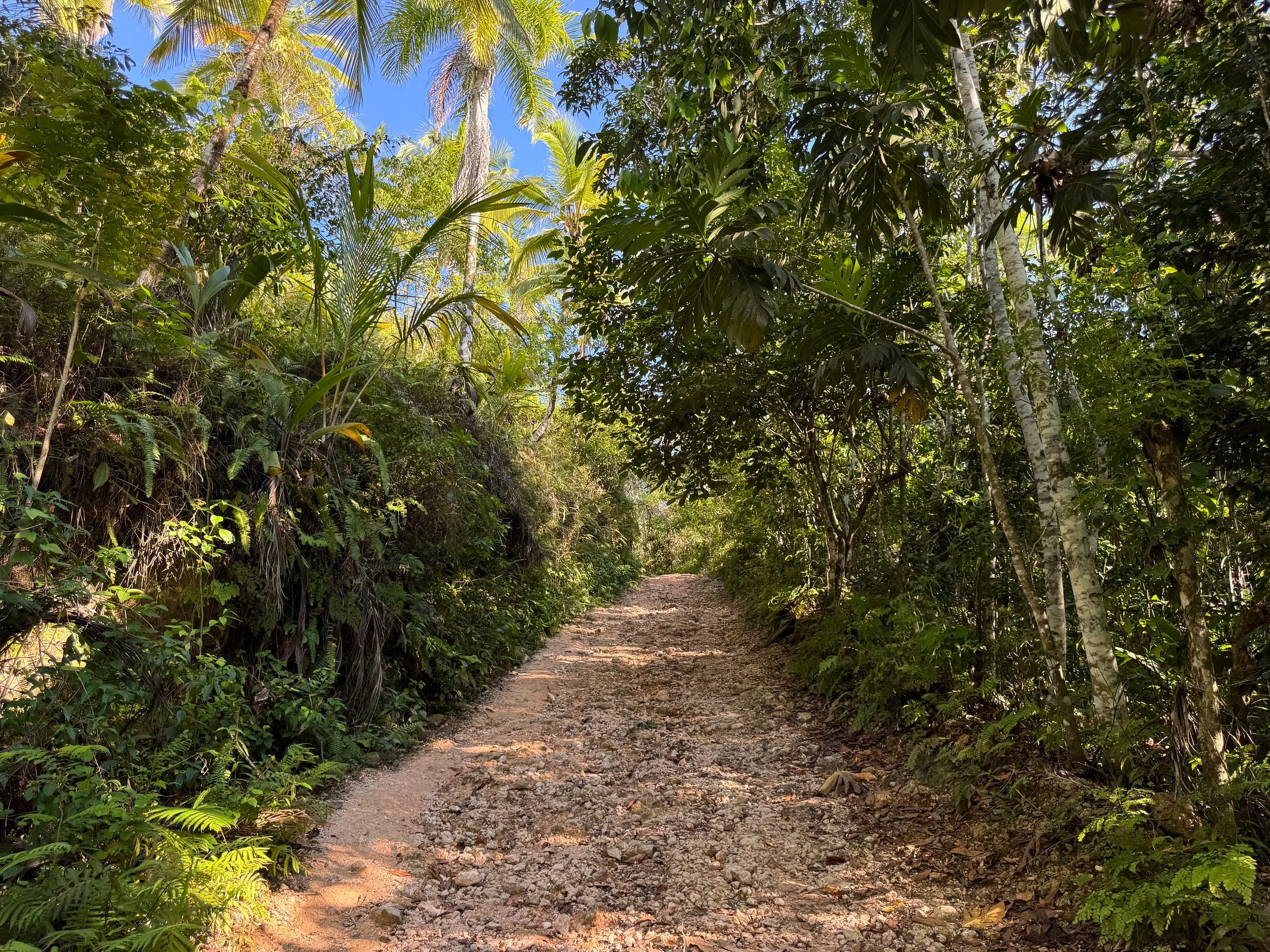 Salto_El_Limon_Hike_01.jpg