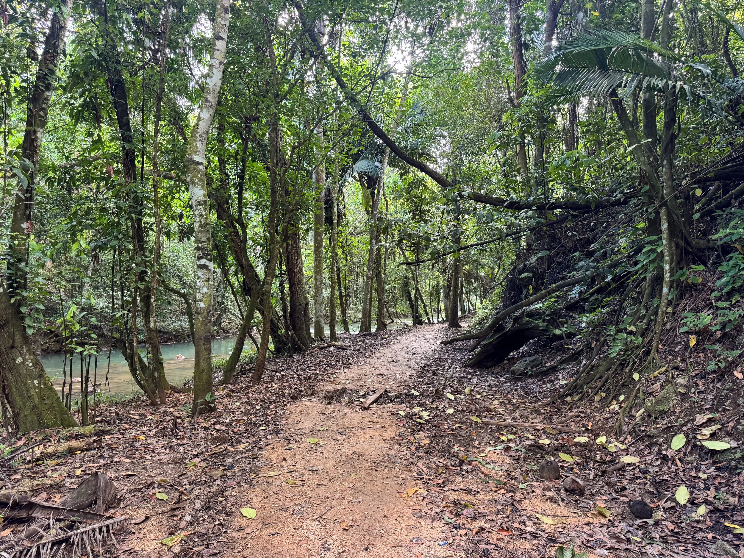 Salto_El_Limon_Hike_05.jpg