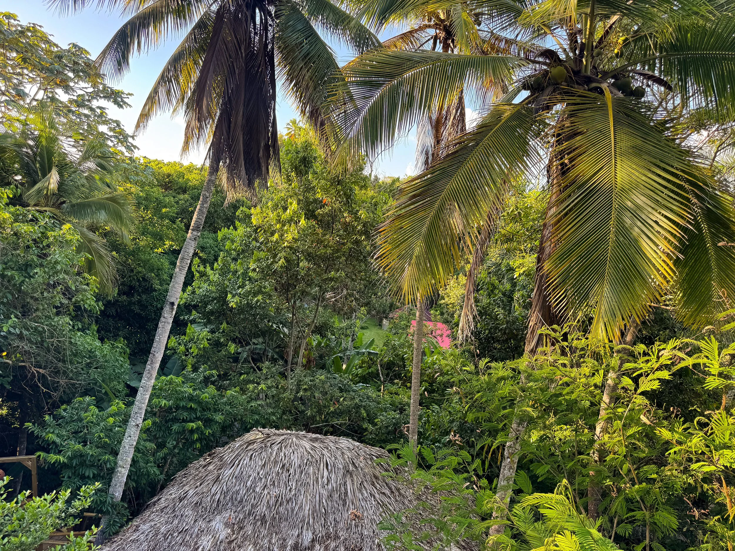 Rancho_Romana_Ecolodge_Park_05.jpg