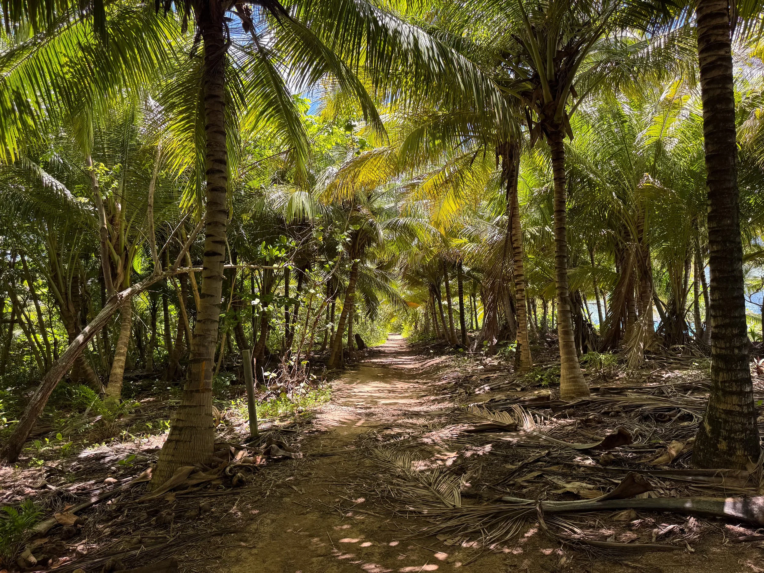 Playa_Breman_06.jpg