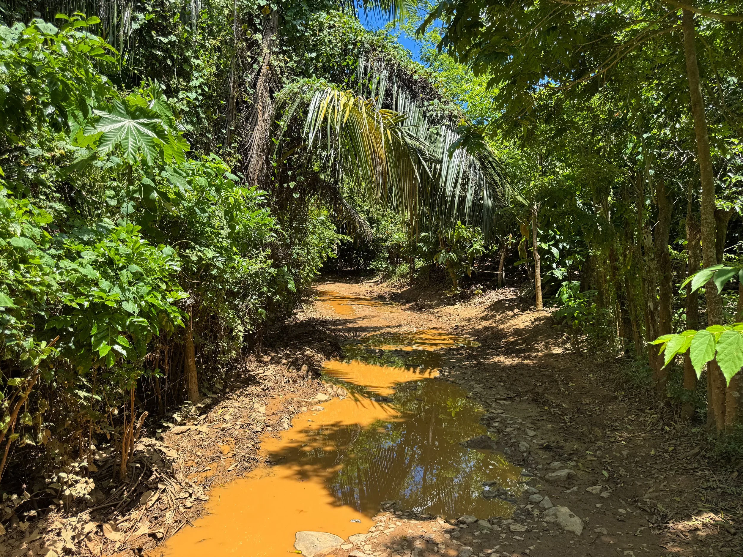 Playa_Breman_07.jpg
