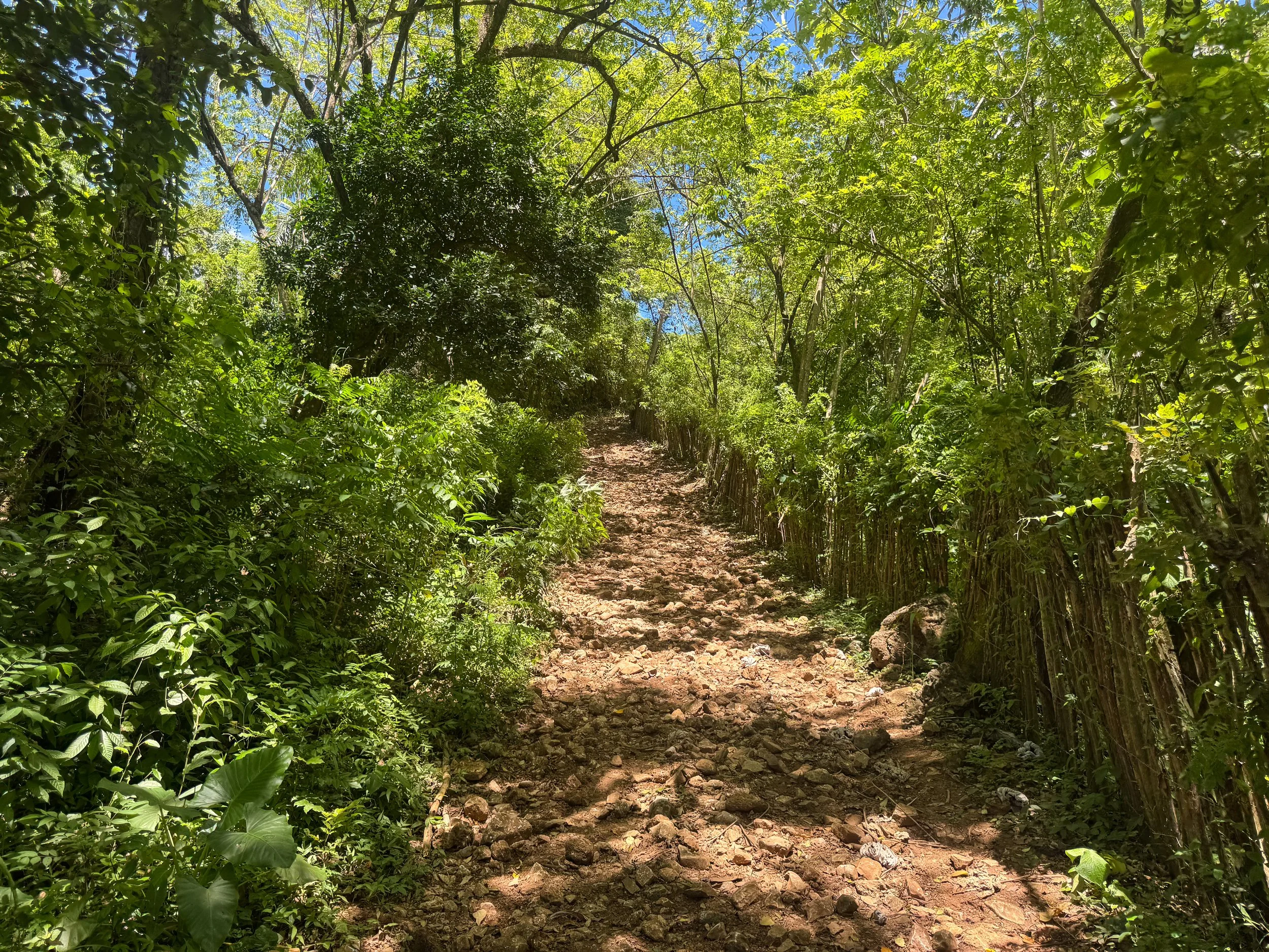 Playa_Colorada_07.jpg