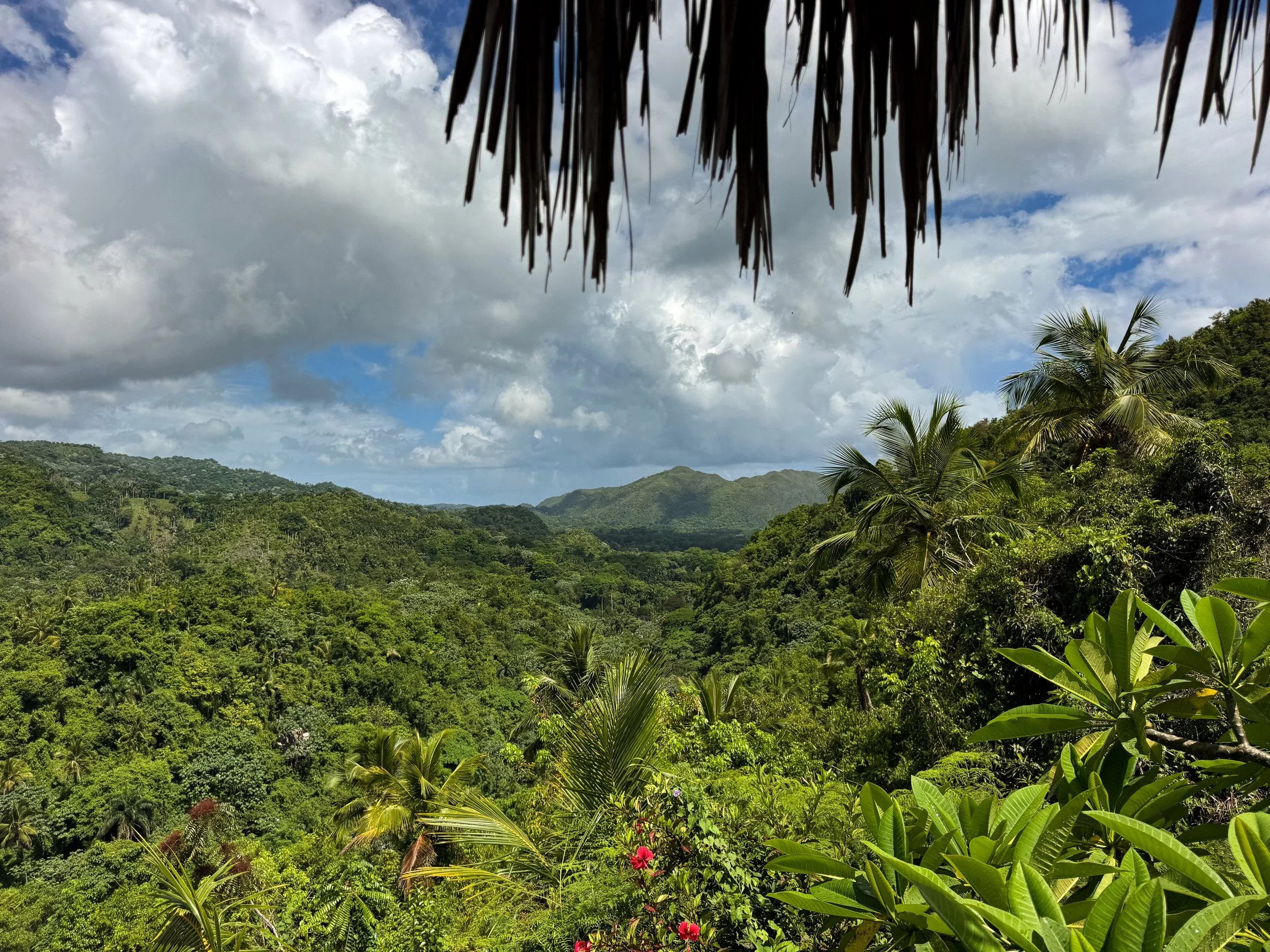 Samana_Zipline_El_Valle_02.jpg