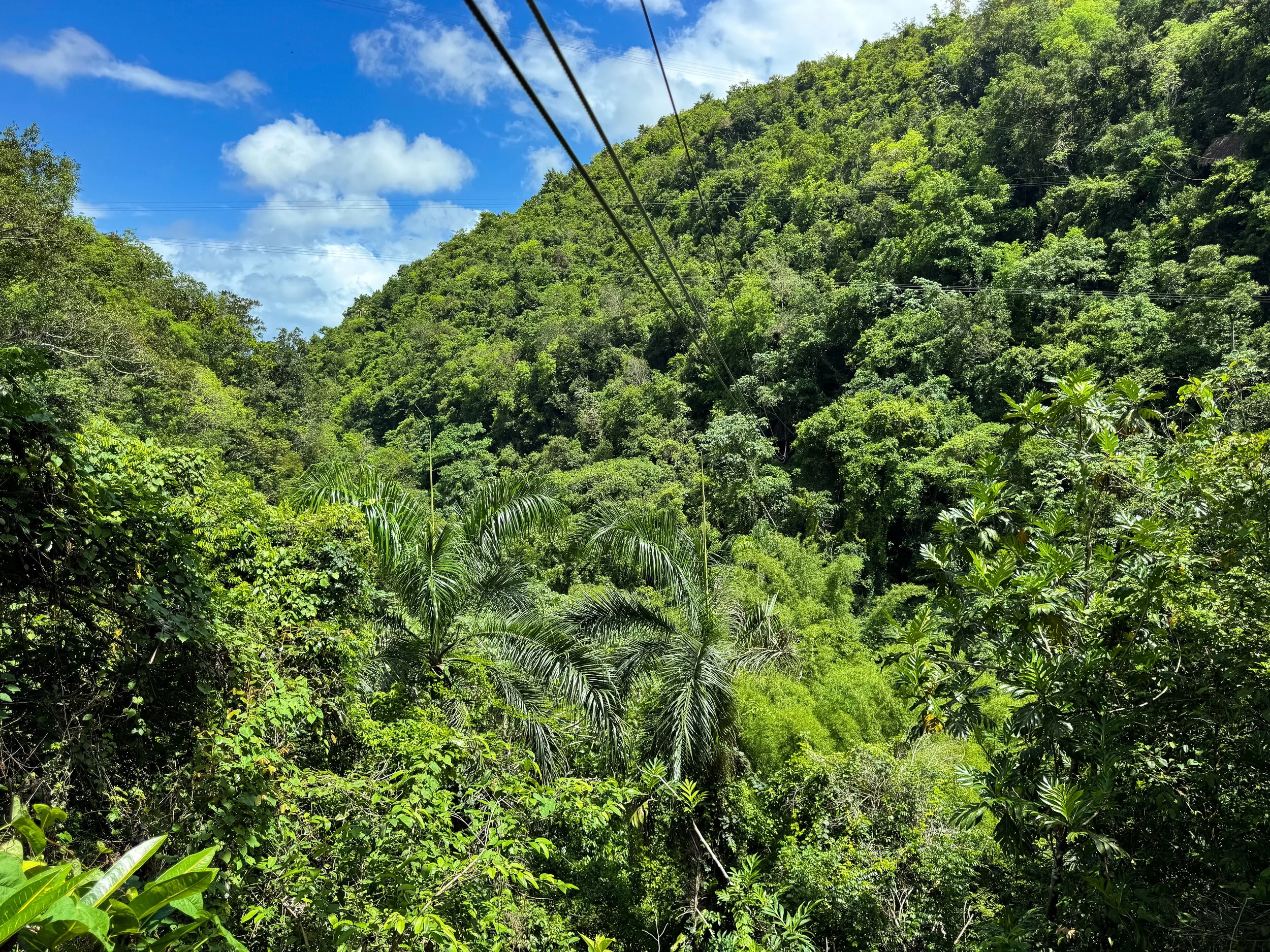 Samana_Zipline_El_Valle_03.jpg