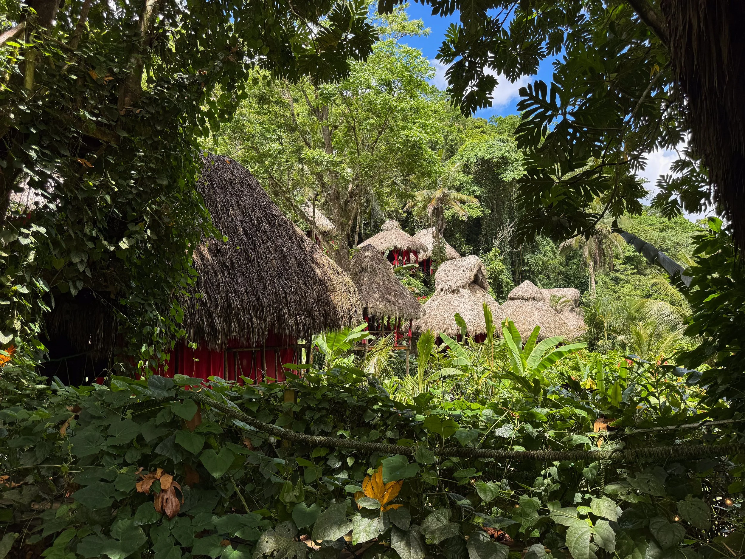 Samana_Zipline_El_Valle_07.jpg
