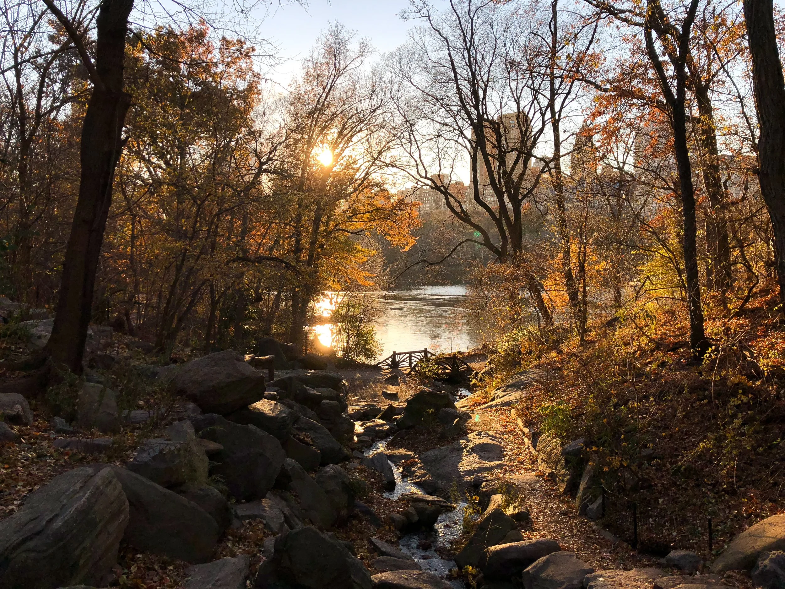 Central_Park_05.jpg