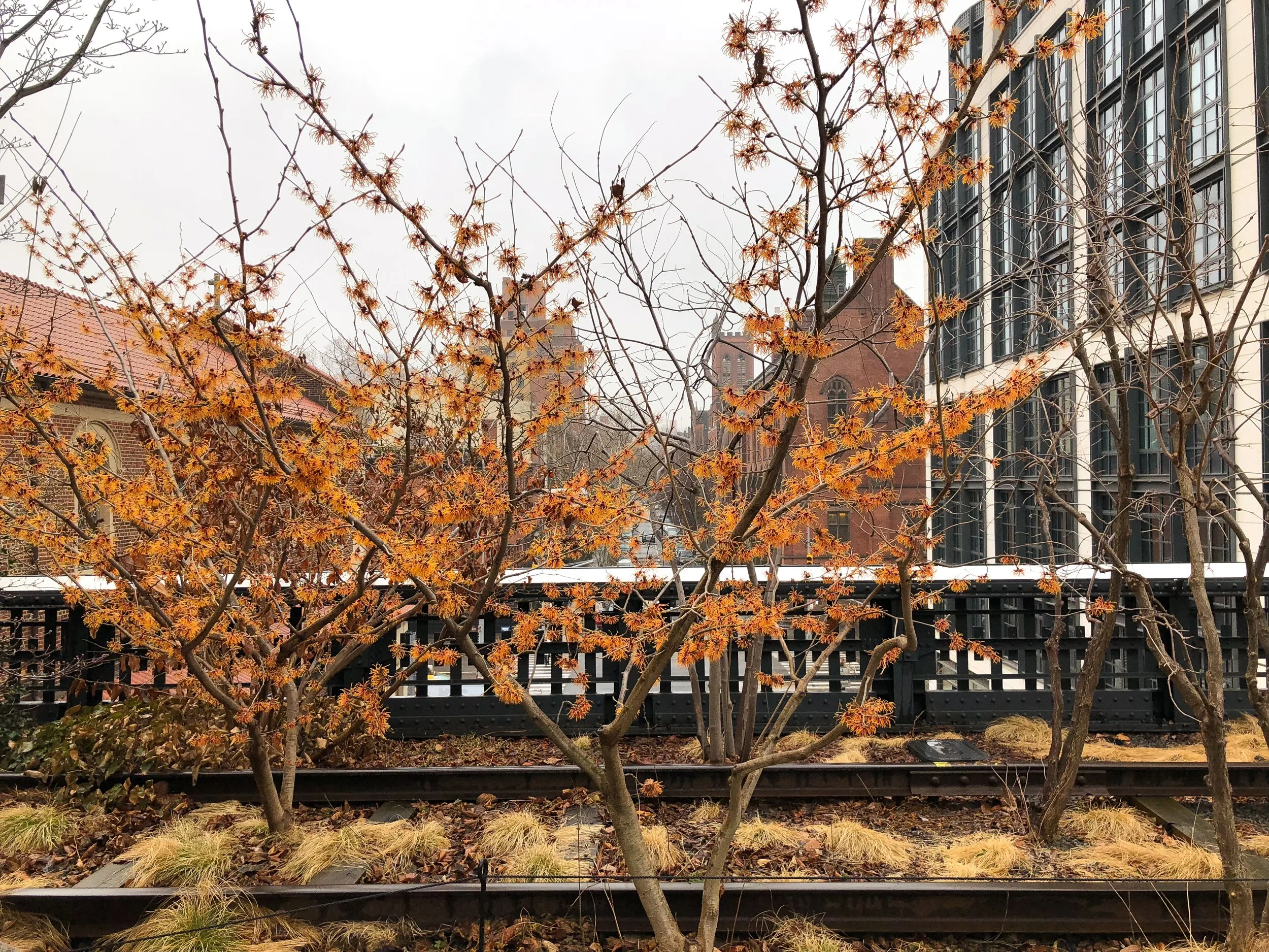 The_High_Line_07.jpg