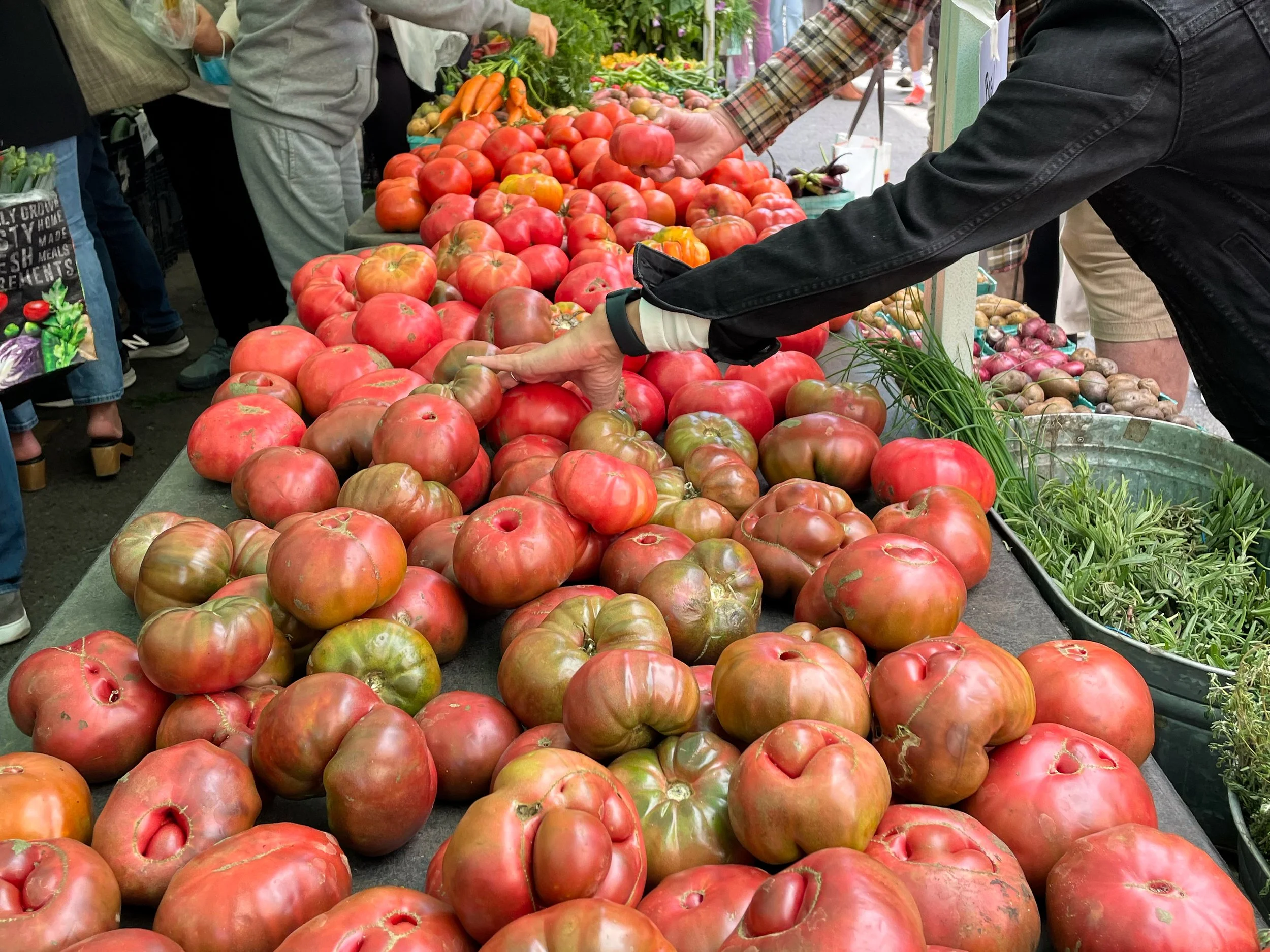 Union_Square_Market_02.jpg
