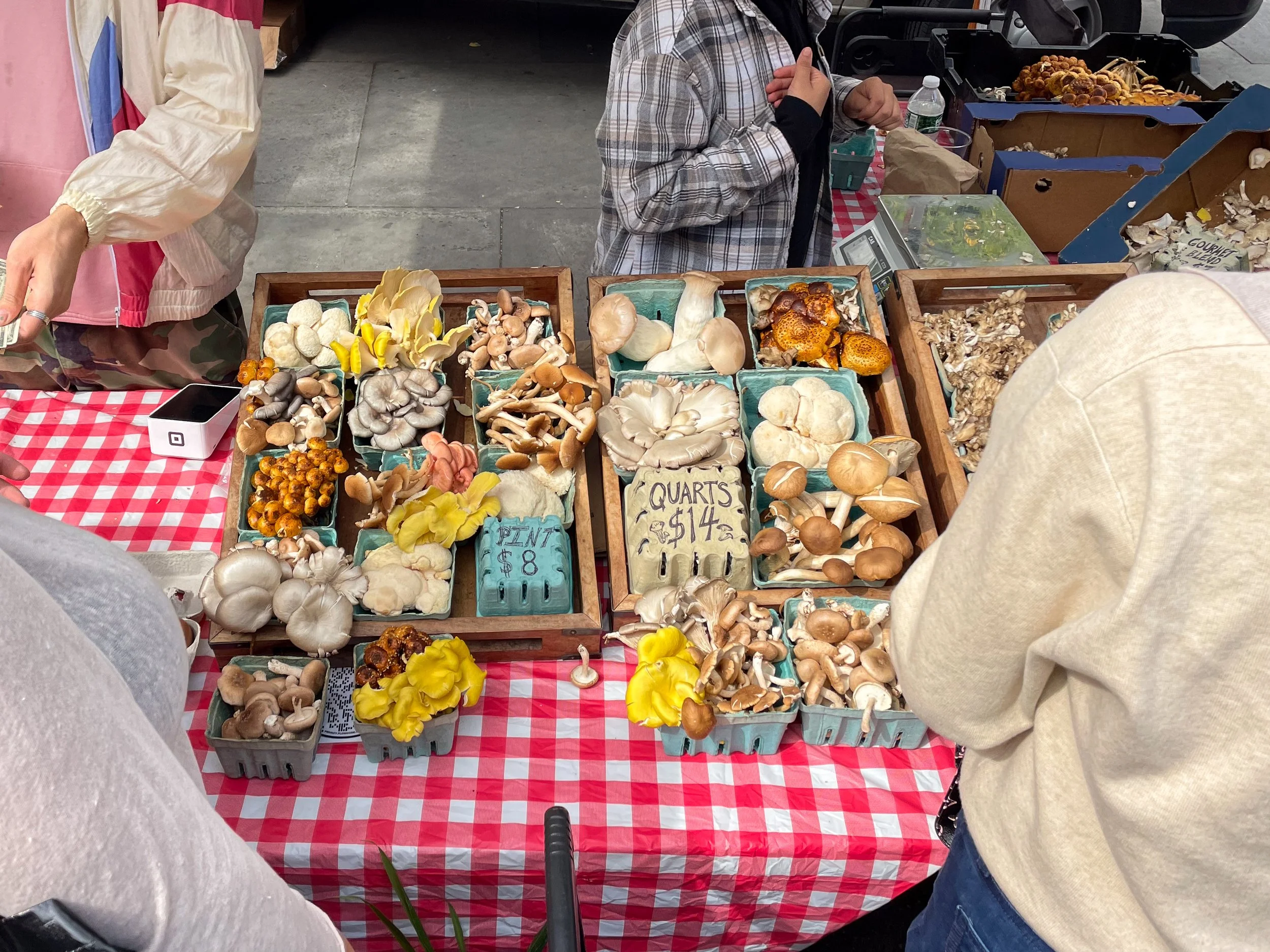 Union_Square_Market_04.jpg