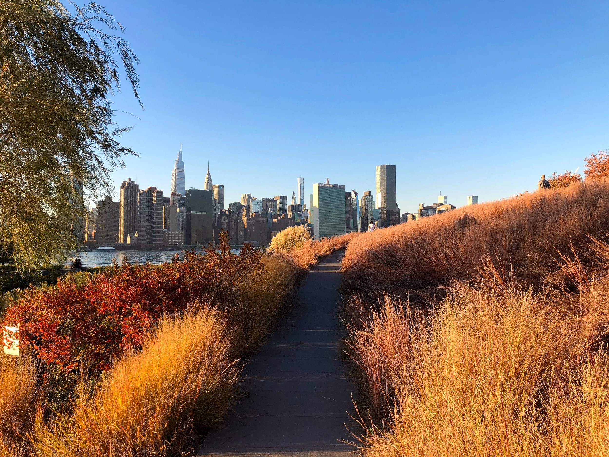 Long_Island_City_Waterfront_03.jpg