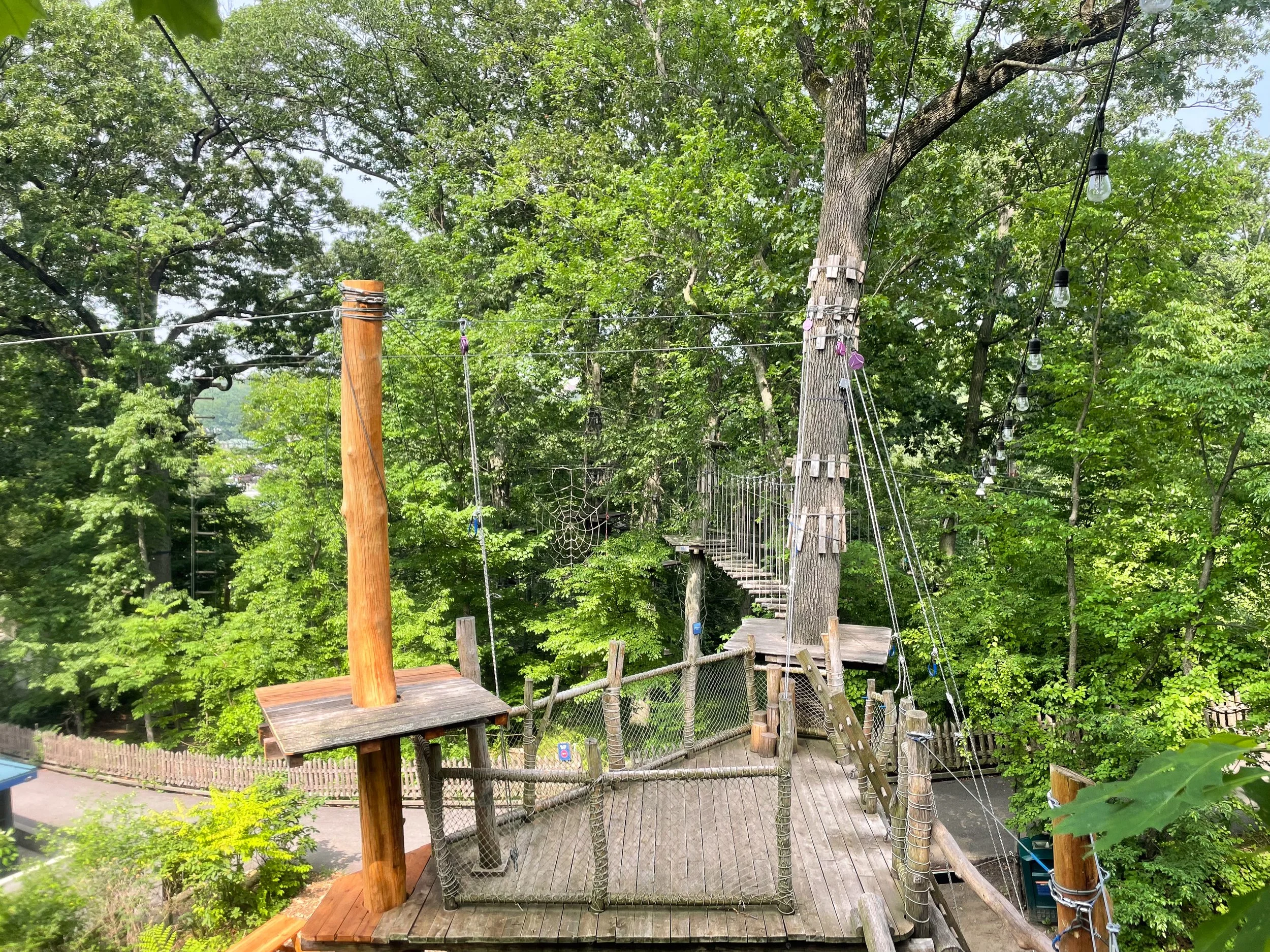 The_Bronx_Zoo_Tree_Top_Canopy_Adventure_02.jpg