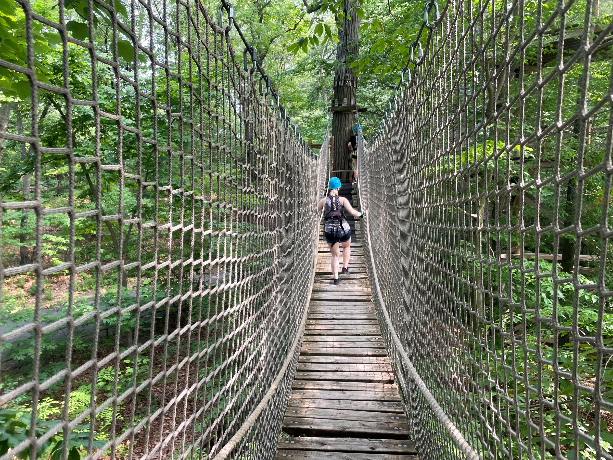 The_Bronx_Zoo_Tree_Top_Canopy_Adventure_04.jpg