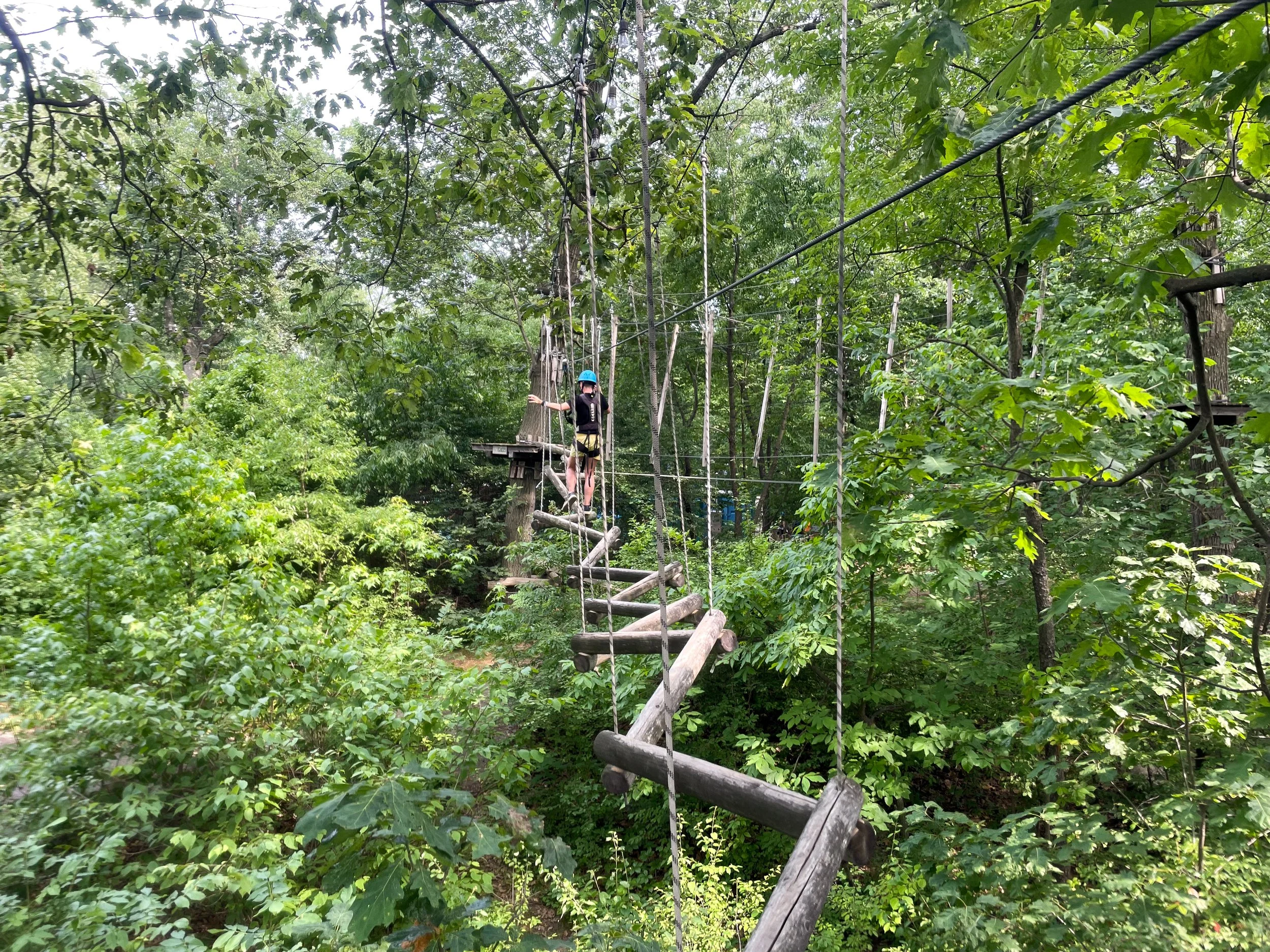 The_Bronx_Zoo_Tree_Top_Canopy_Adventure_03.jpg