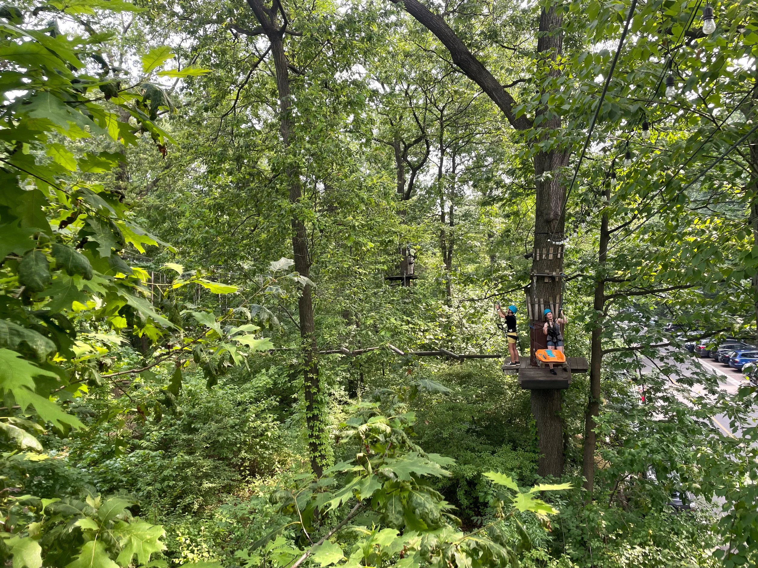 The_Bronx_Zoo_Tree_Top_Canopy_Adventure_05.jpg
