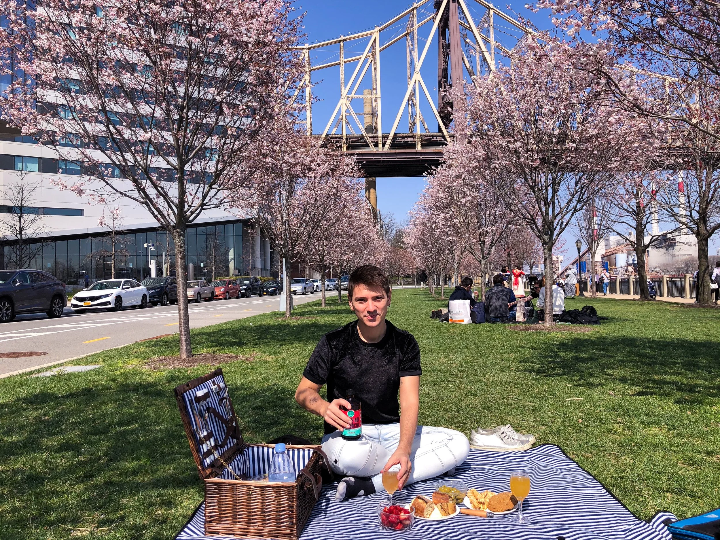 Roosevelt_Island_04.jpg