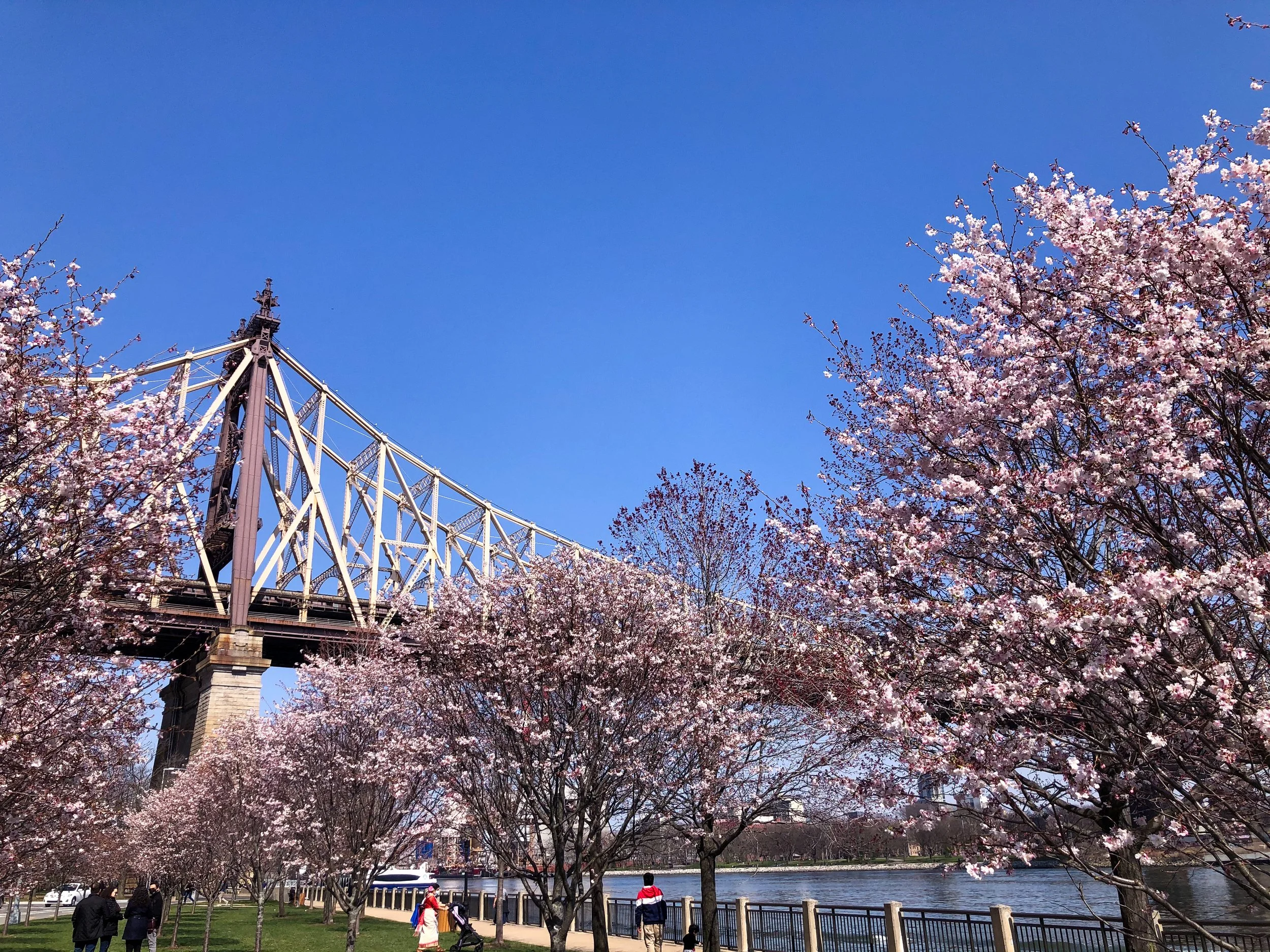 Roosevelt_Island_05.jpg