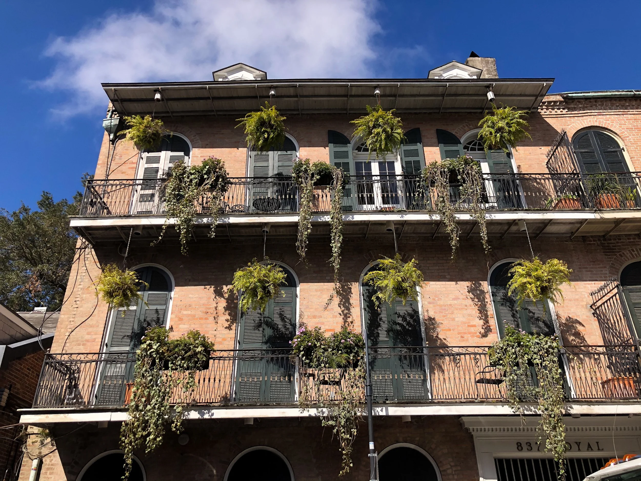 The_French_Quarter_03.jpg