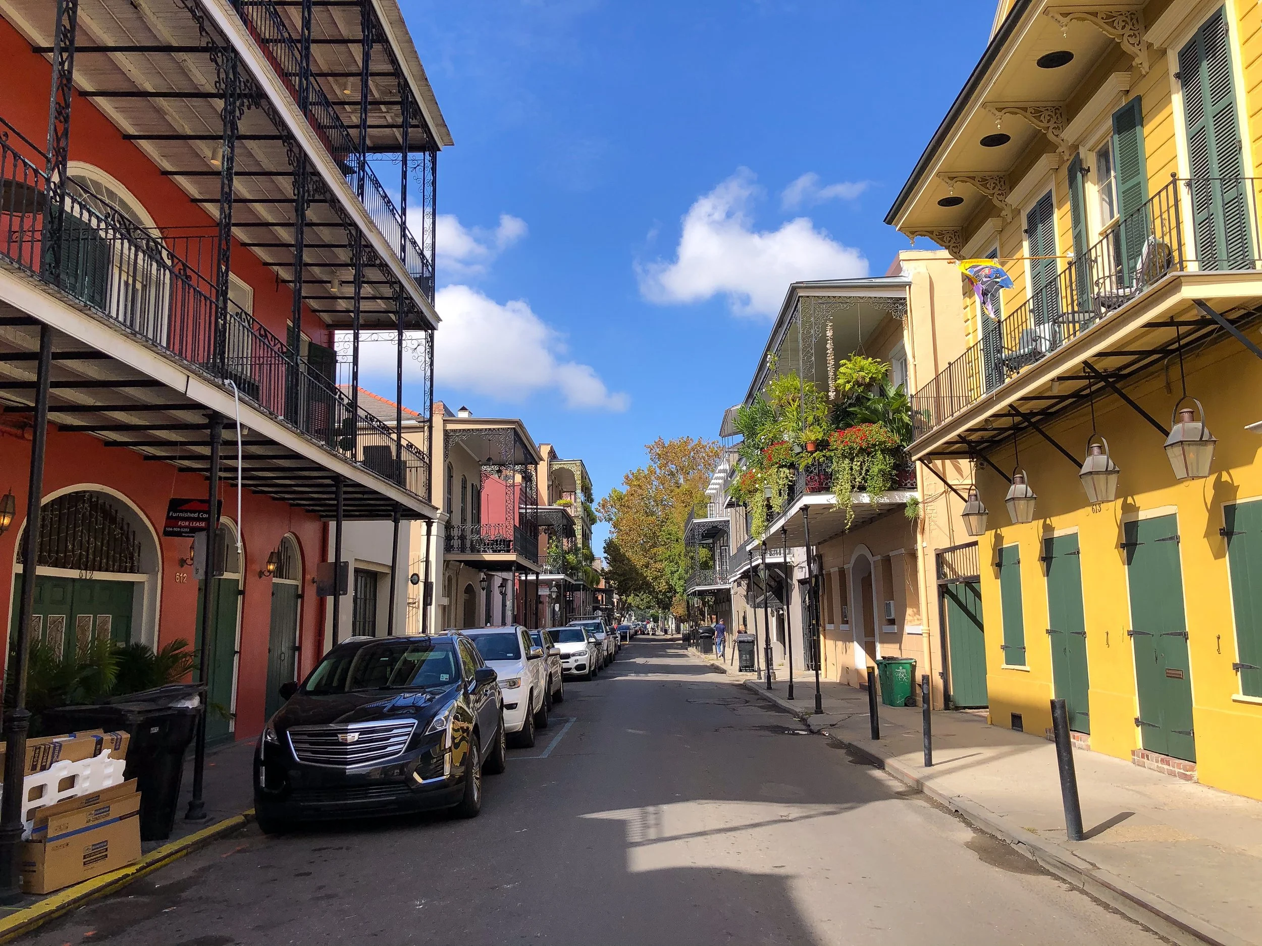 The_French_Quarter_09.jpg