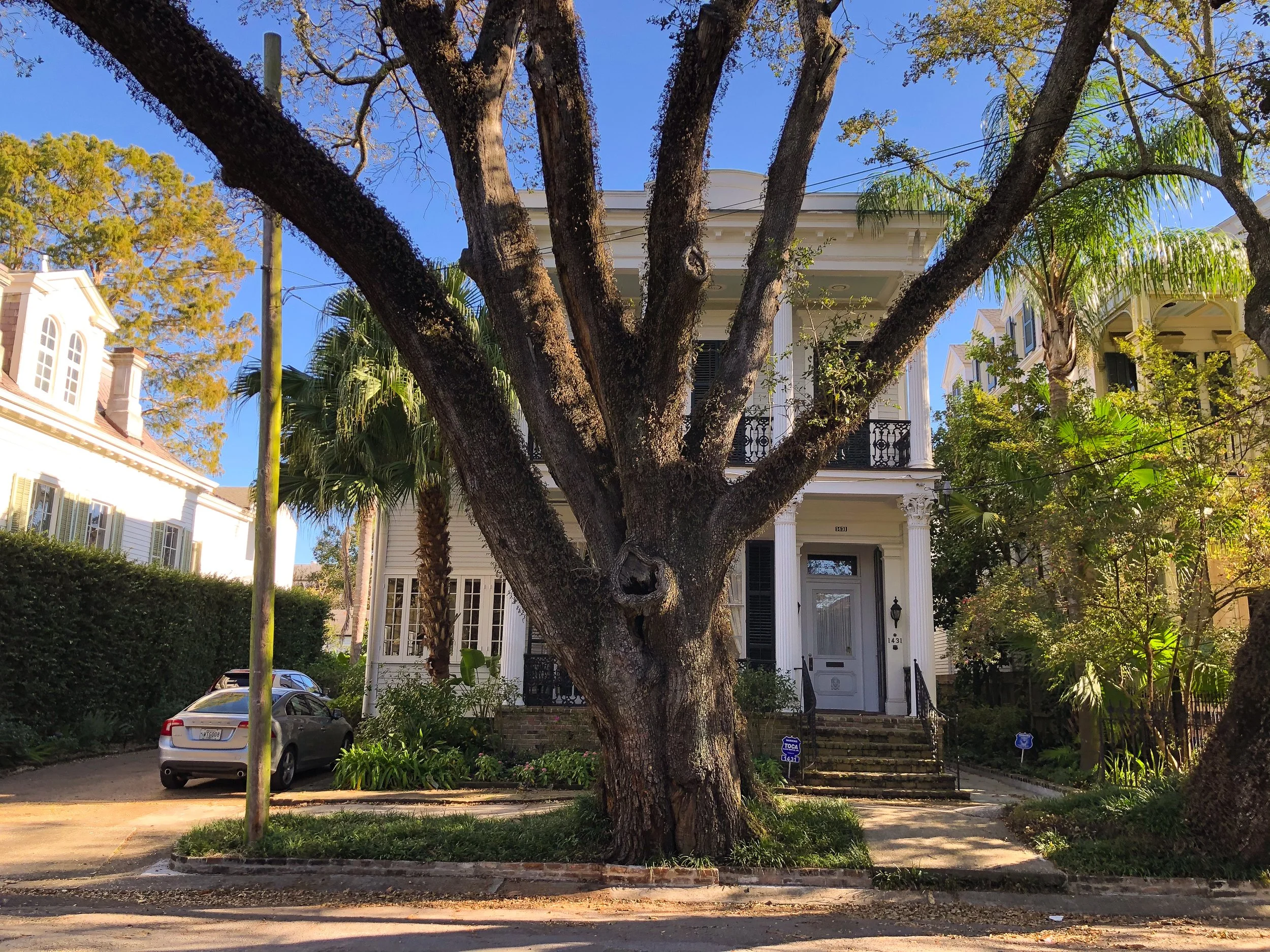 The_Garden_District_05.jpg