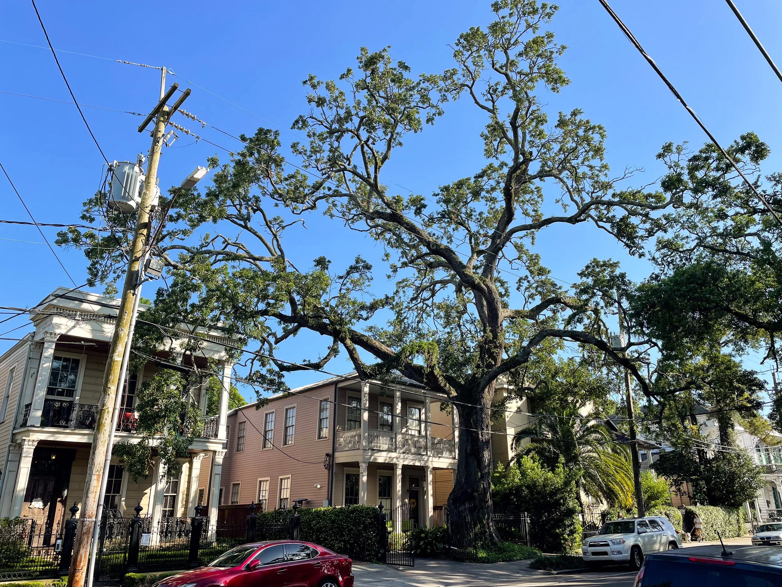 The_Garden_District_06.jpg
