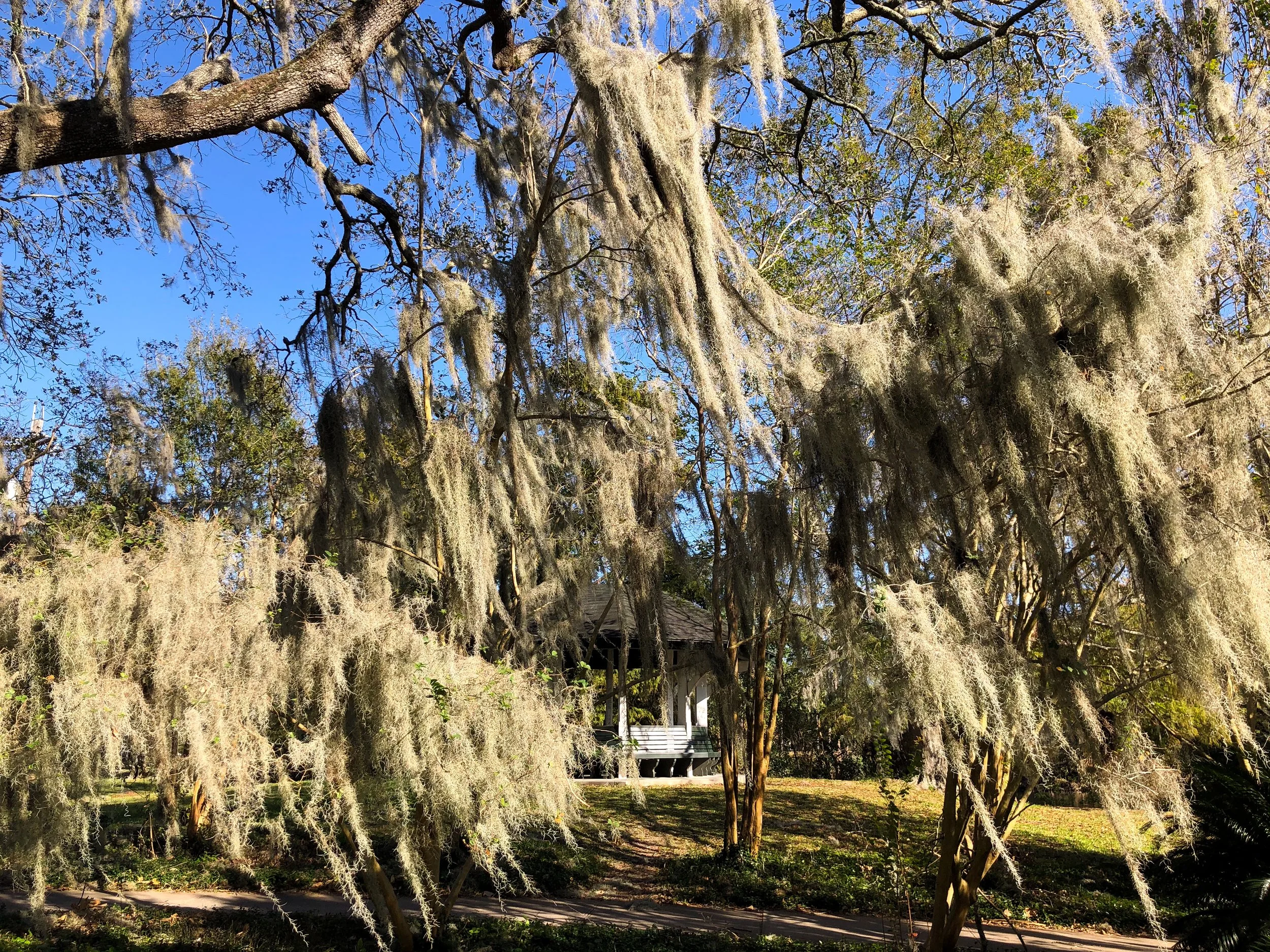 Audubon_Park_02.jpg