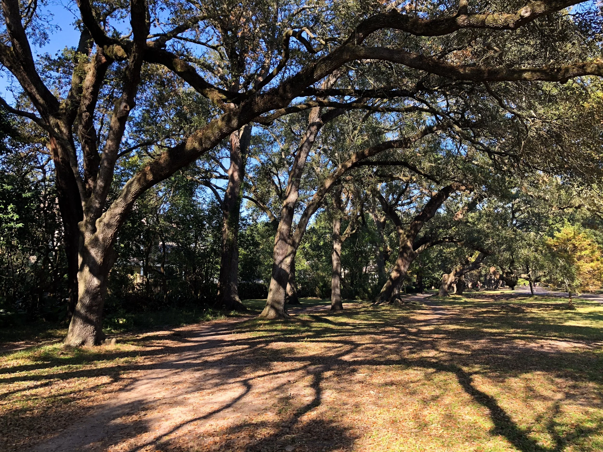 Audubon_Park_03.jpg