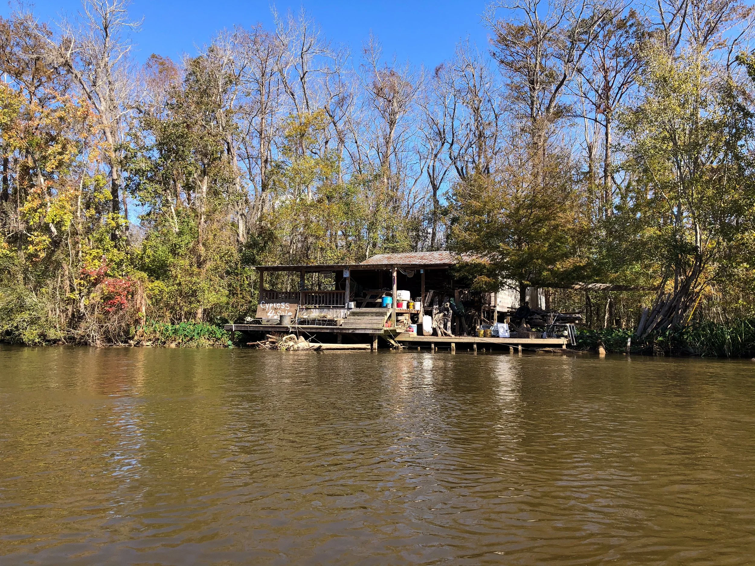 Honey_Island_Swamp_Tour_06.jpg
