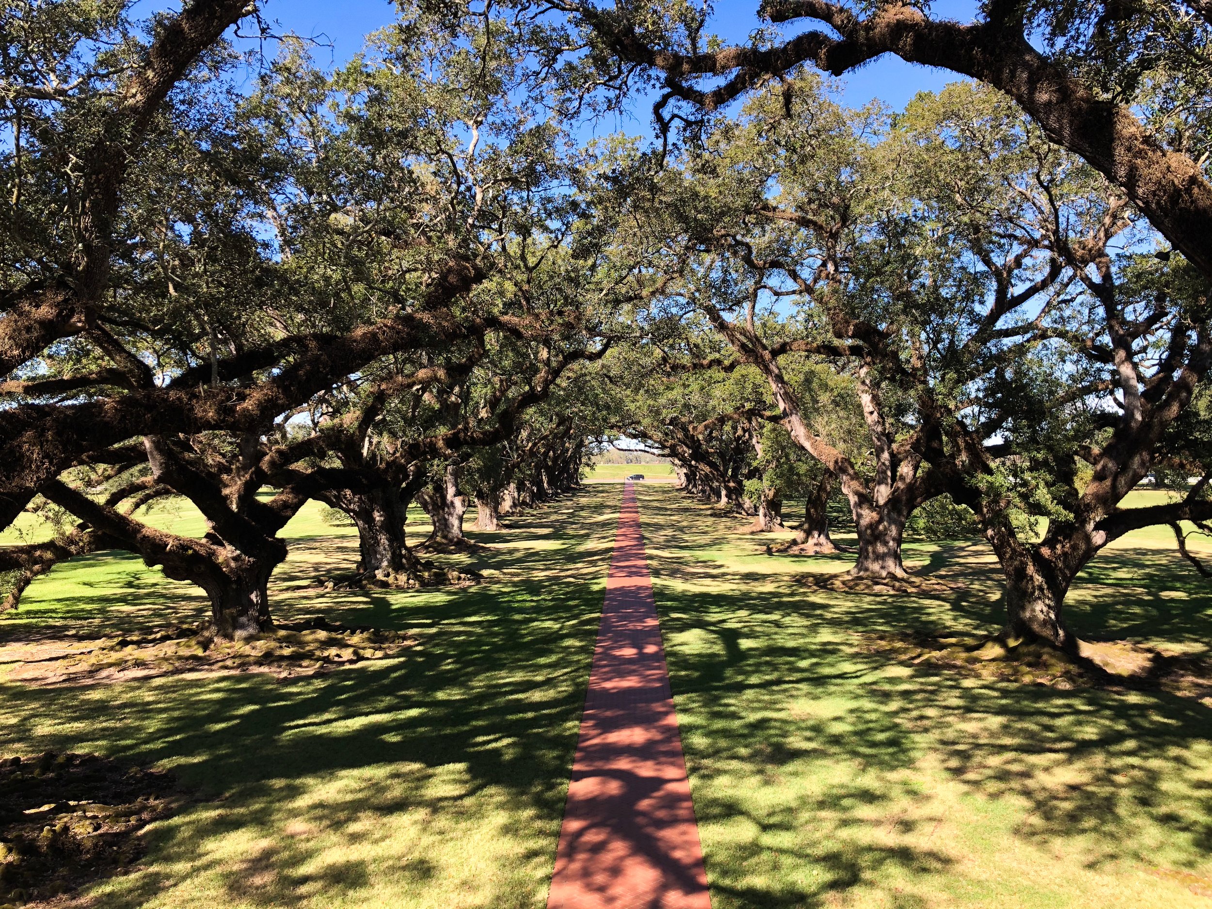 Oak_Alley_Plantation_02.jpg