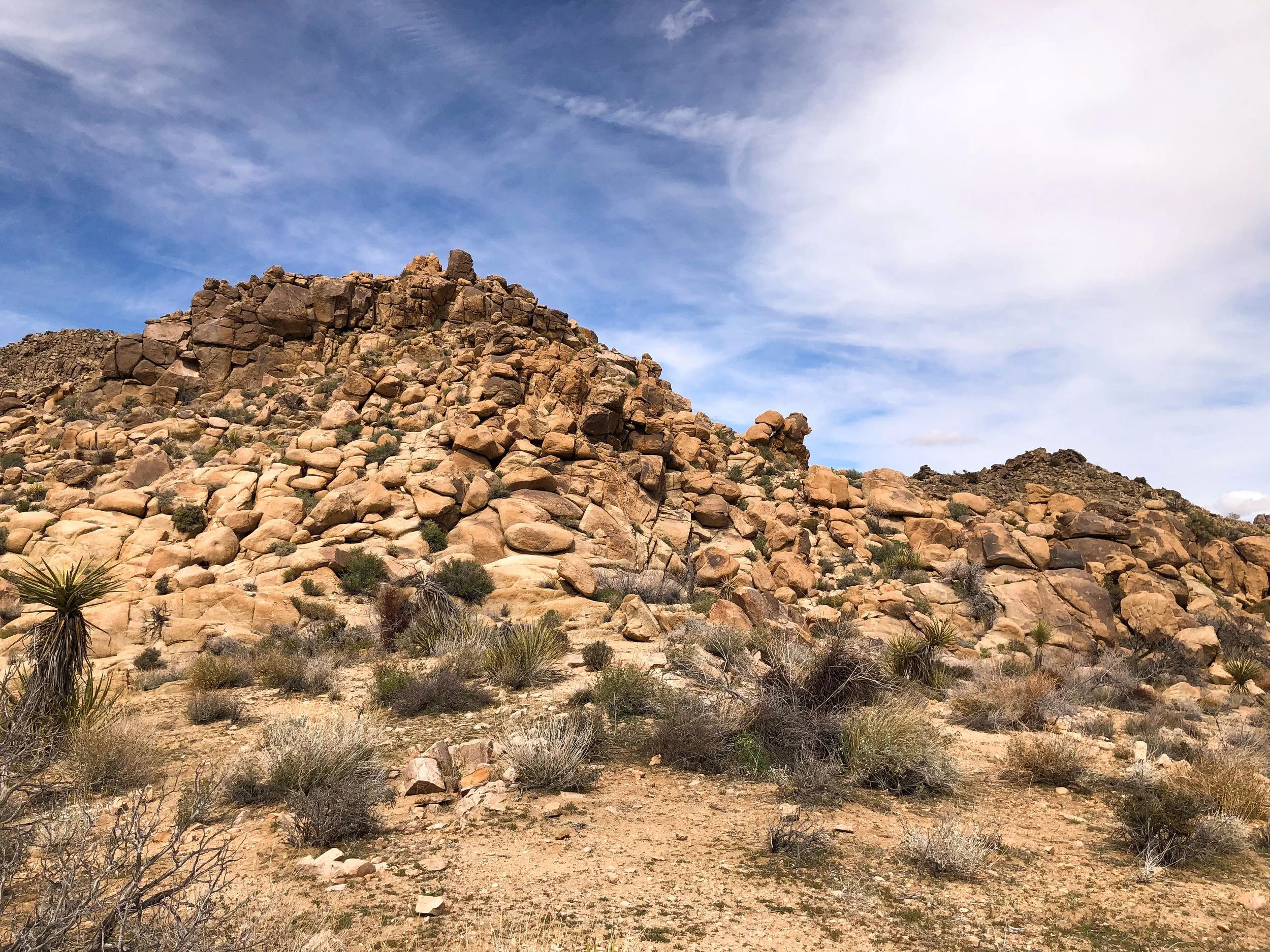 Joshua_Tree_National_Park_07.jpg