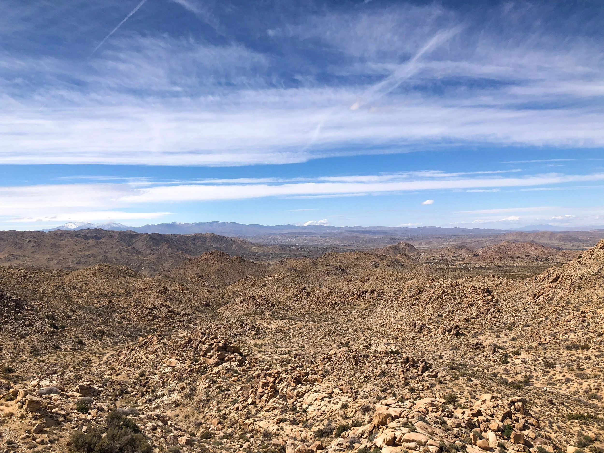 Joshua_Tree_National_Park_08.jpg