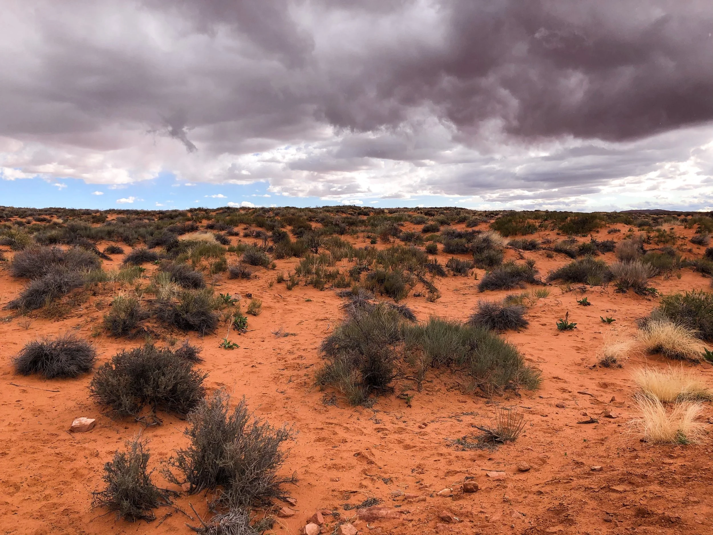 Horseshoe_Bend_07.jpg