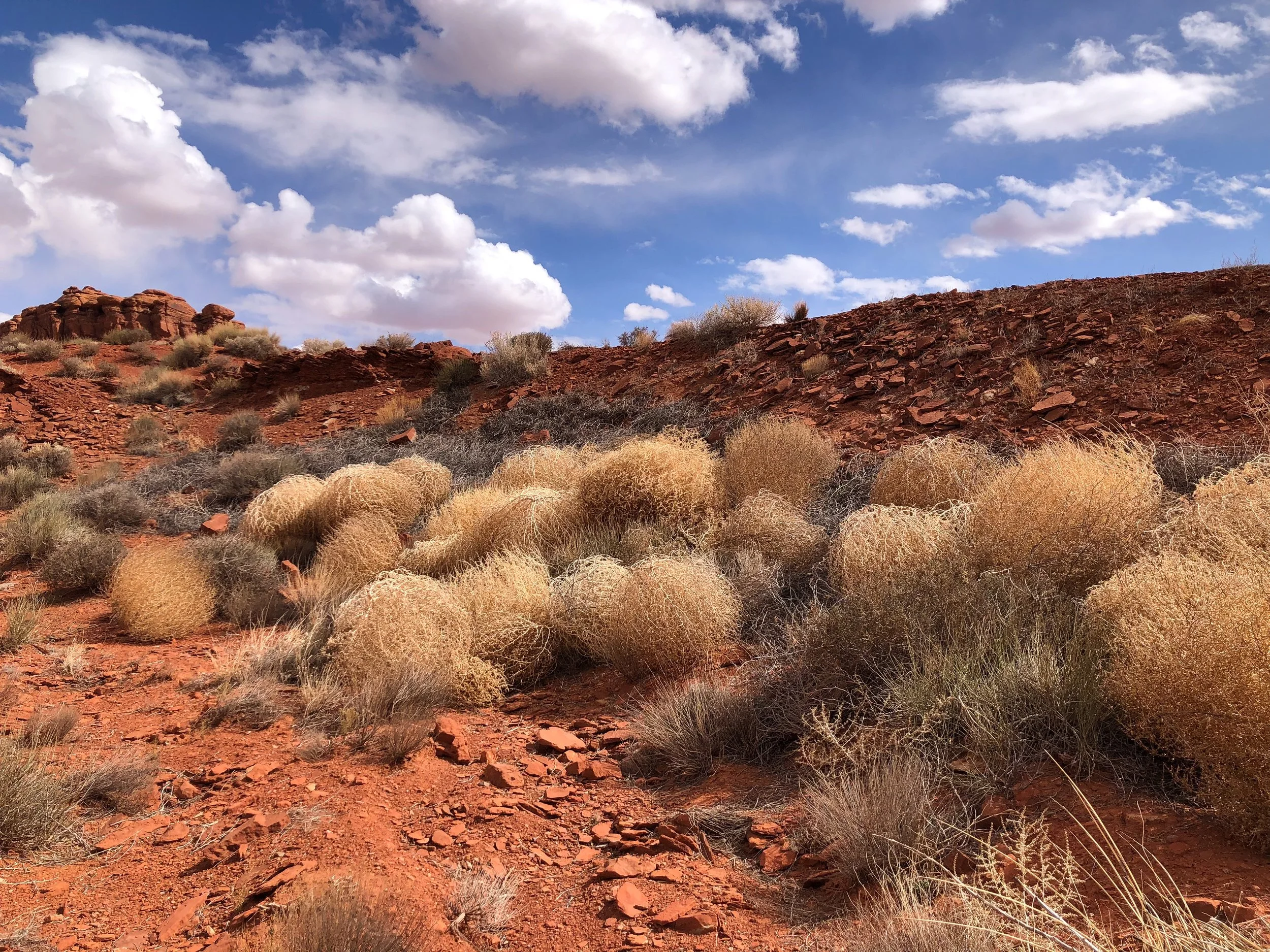 Mexican_Hat_02.jpg