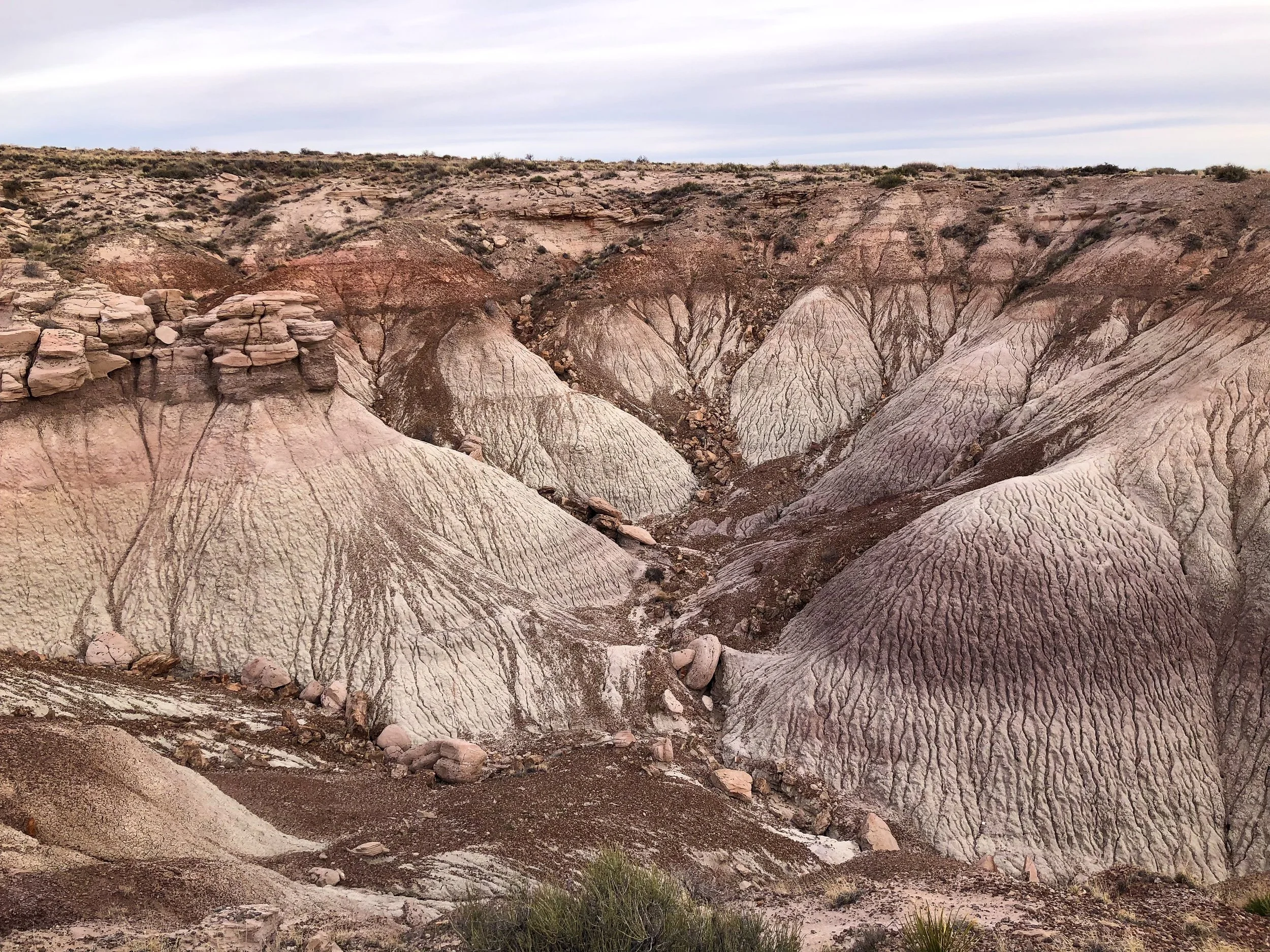 Petrified_Forest_National_Park_02.jpg