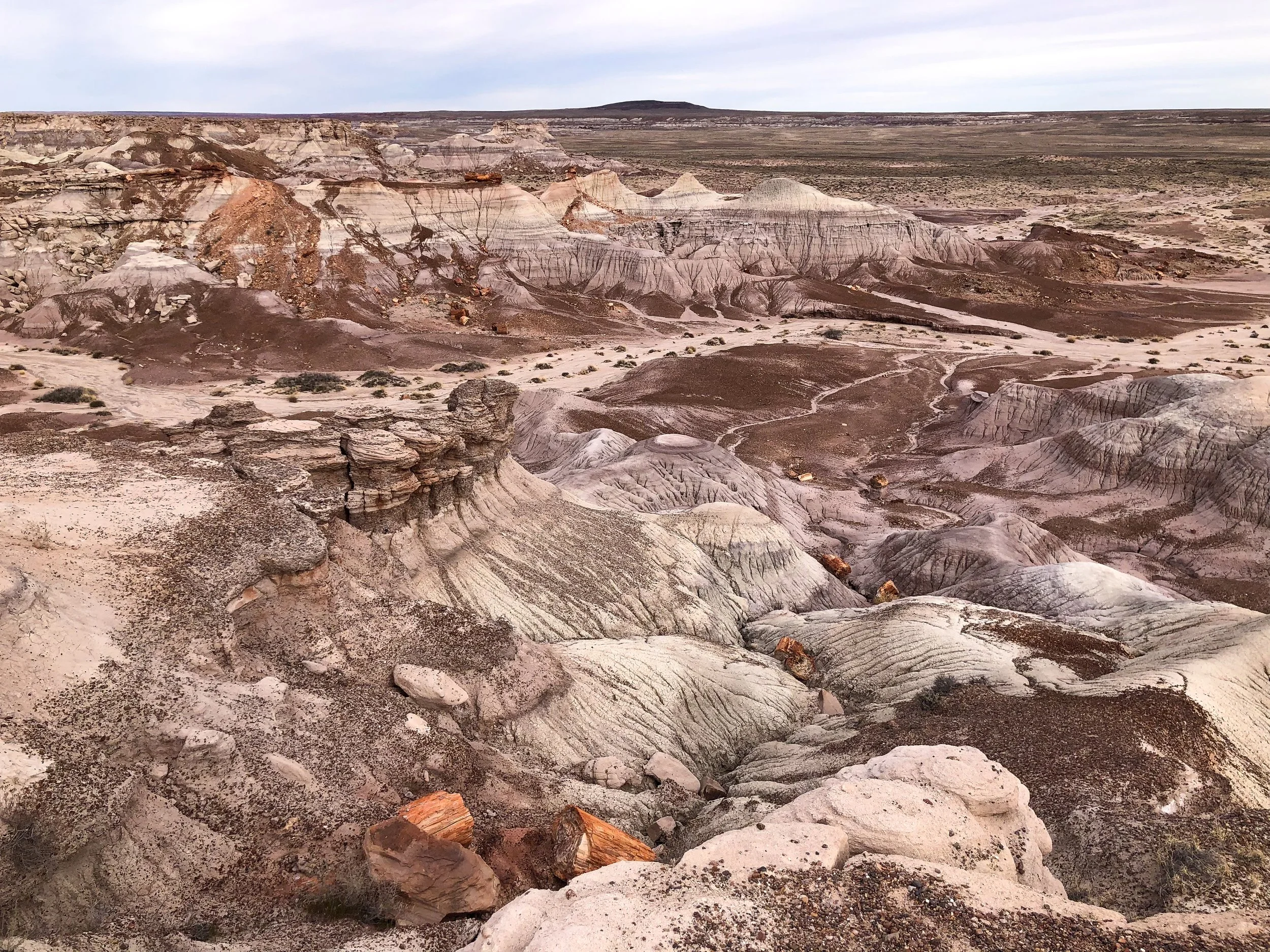 Petrified_Forest_National_Park_01.jpg