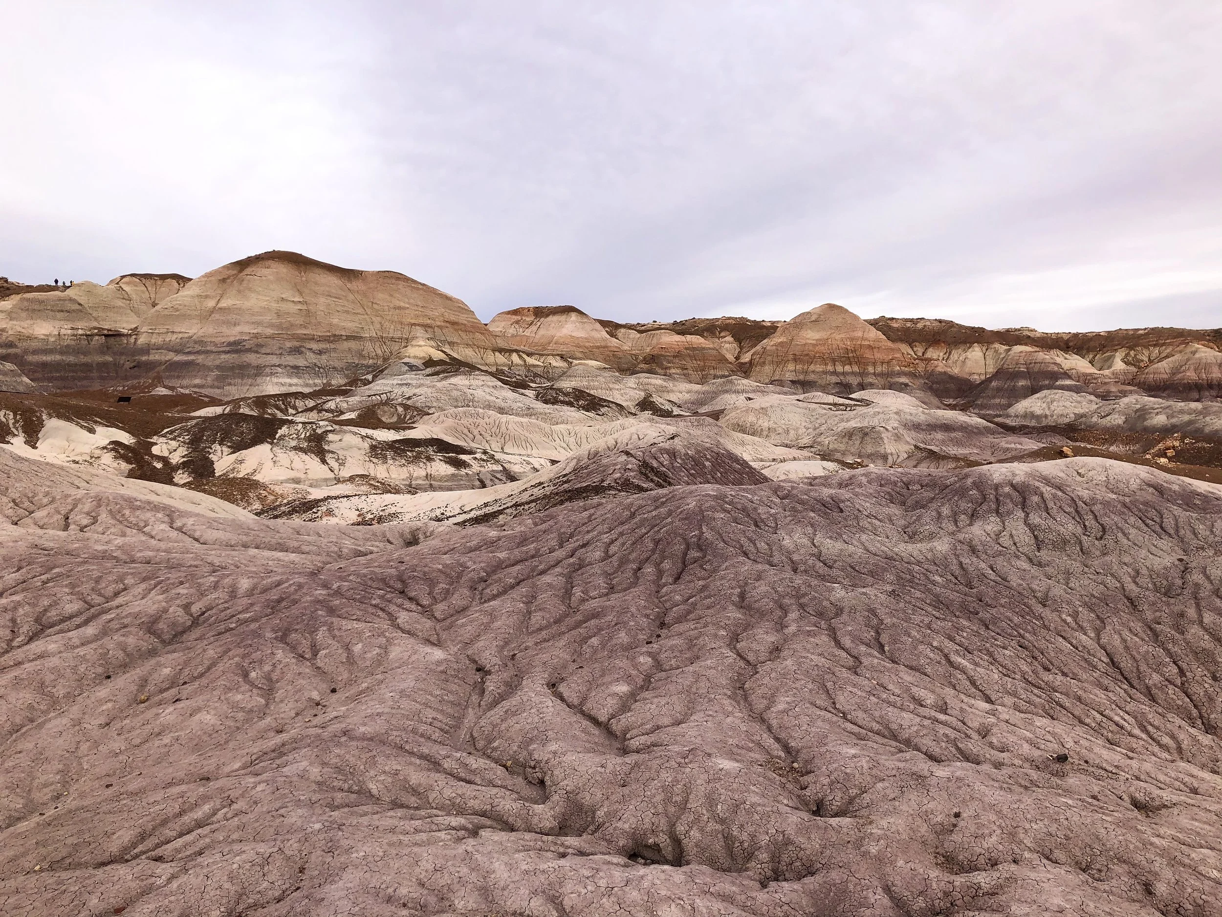Petrified_Forest_National_Park_04.jpg