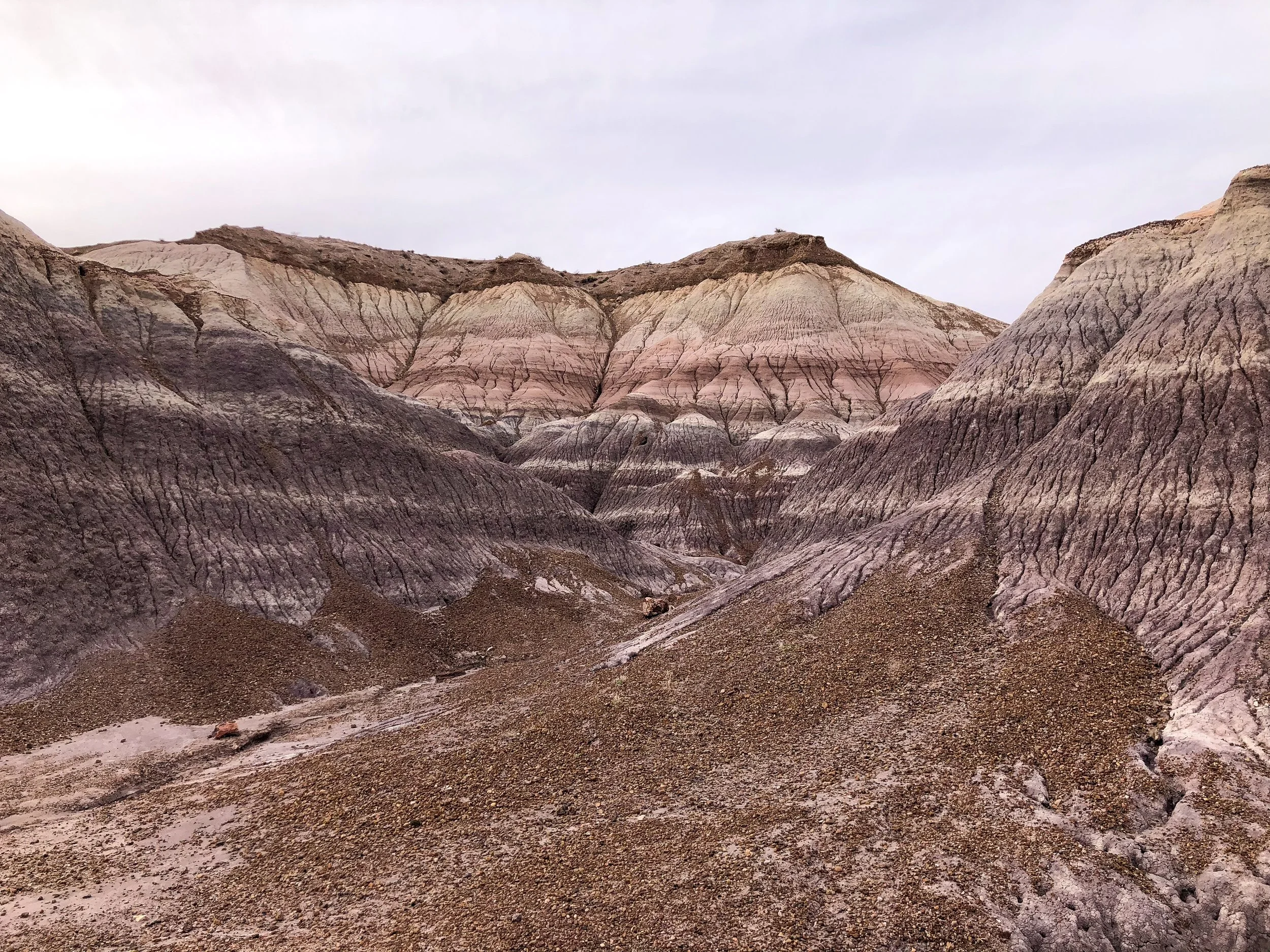 Petrified_Forest_National_Park_03.jpg